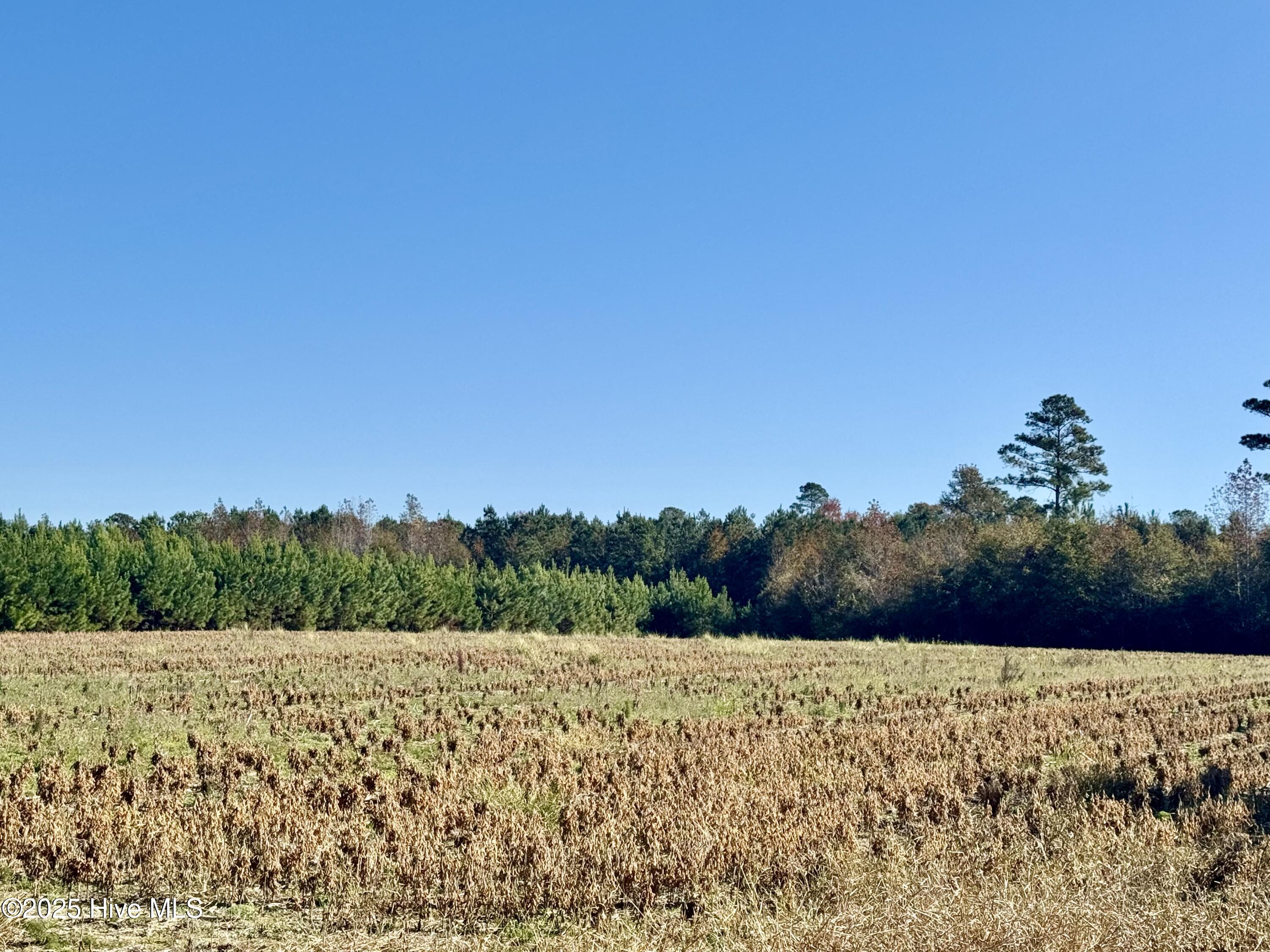 100541845 | Photo 12