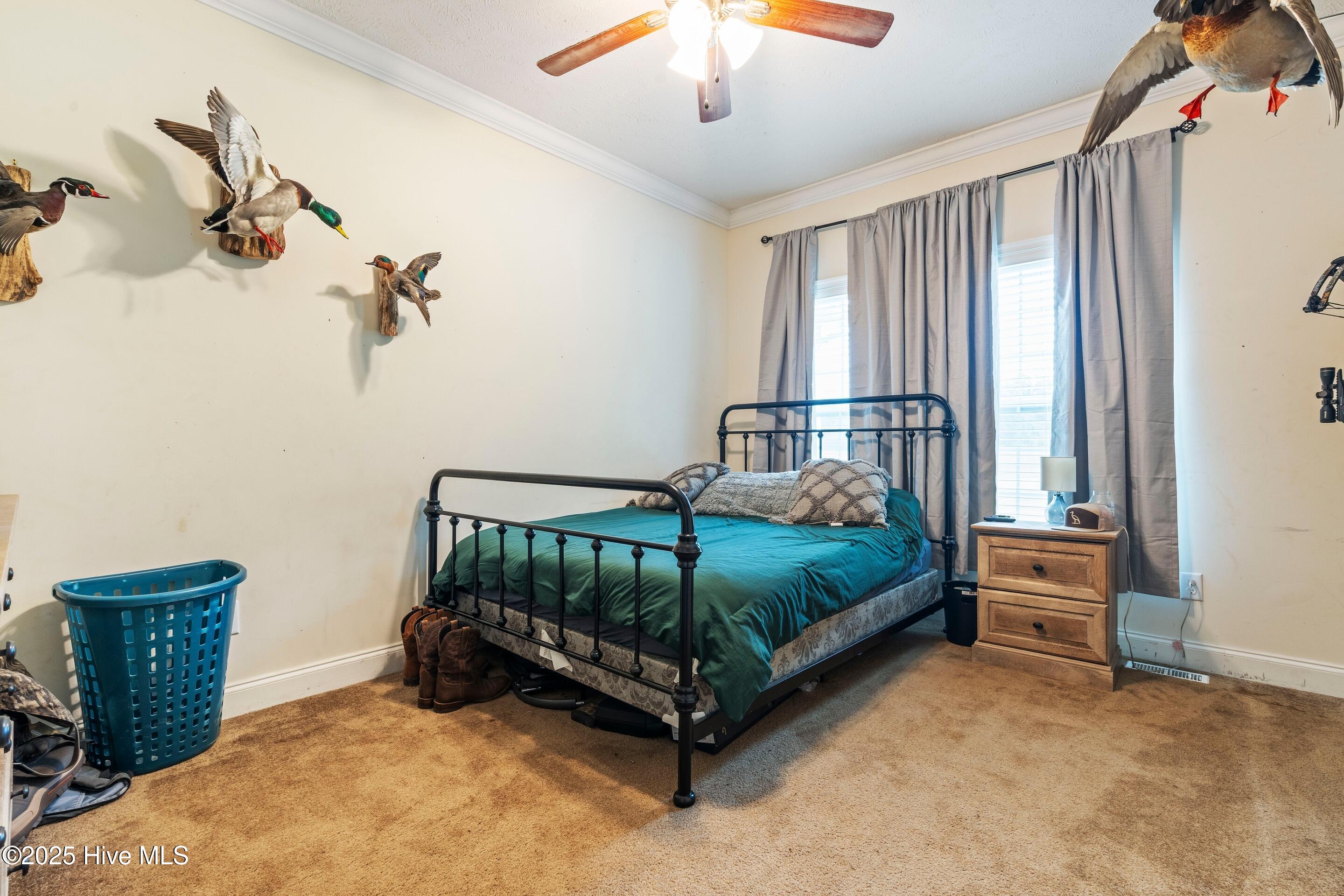 100537388 | Photo 49