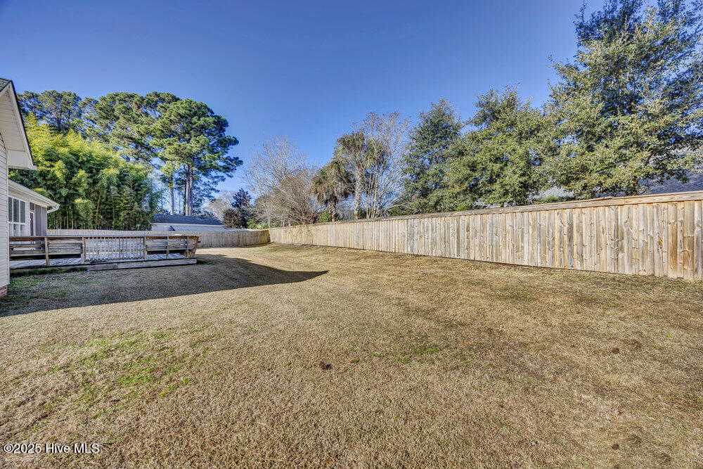 100546133 | Photo 26