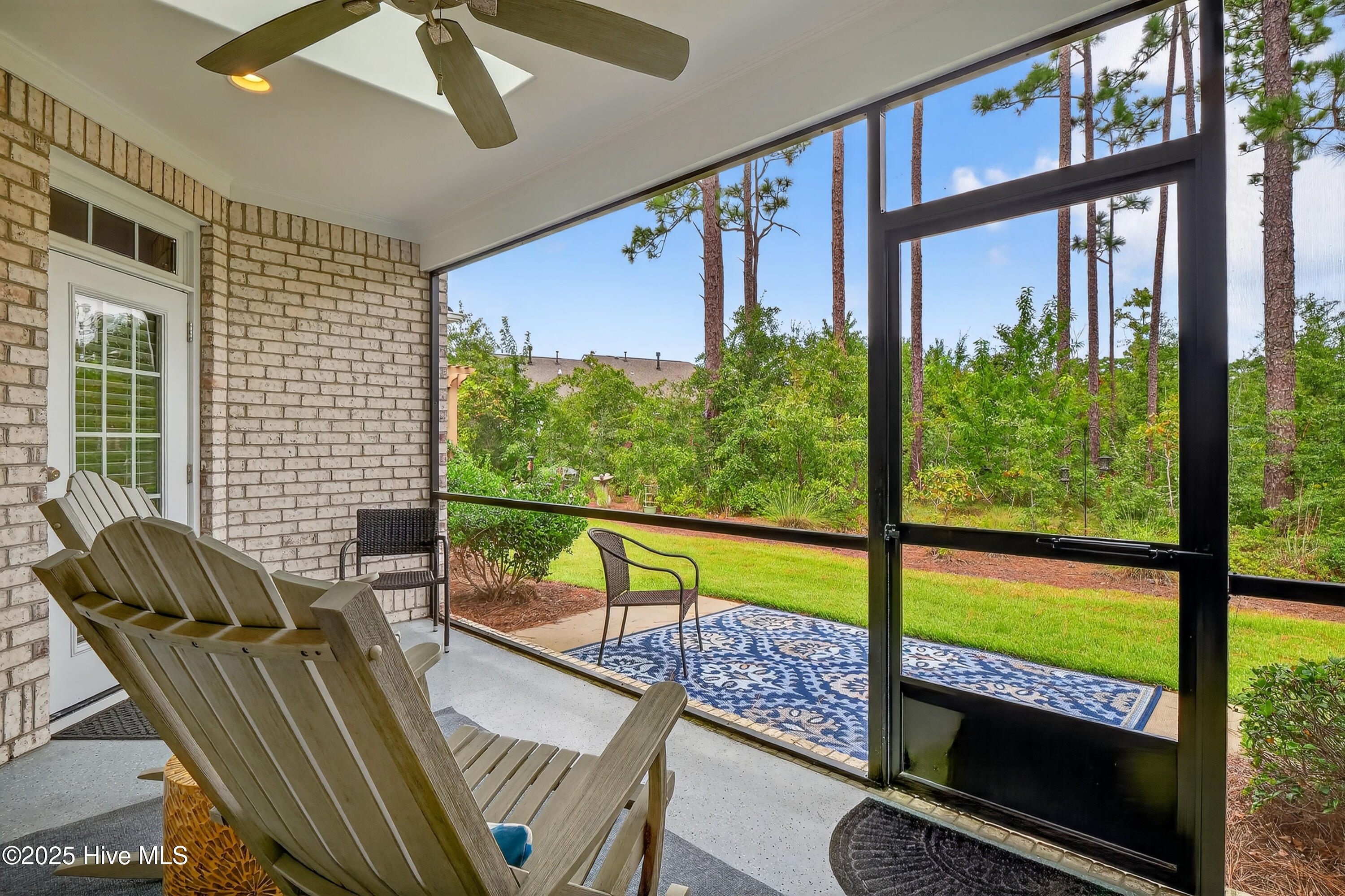 100529241 | Photo 22