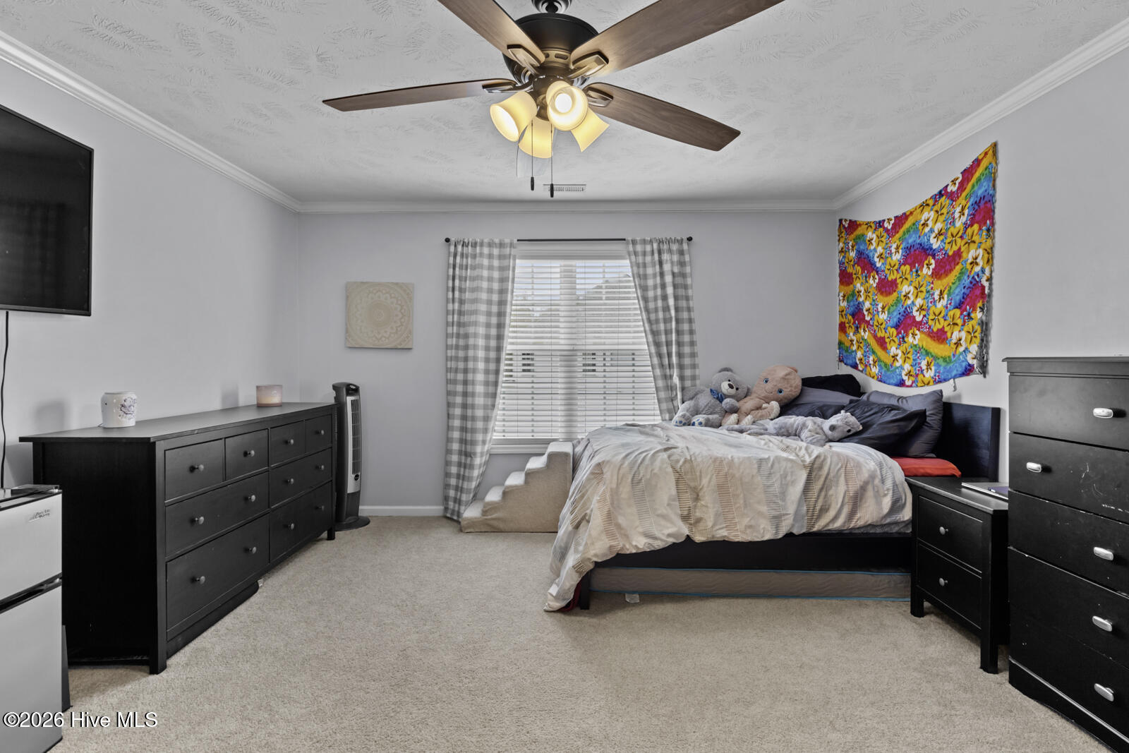 100562743 | Photo 41