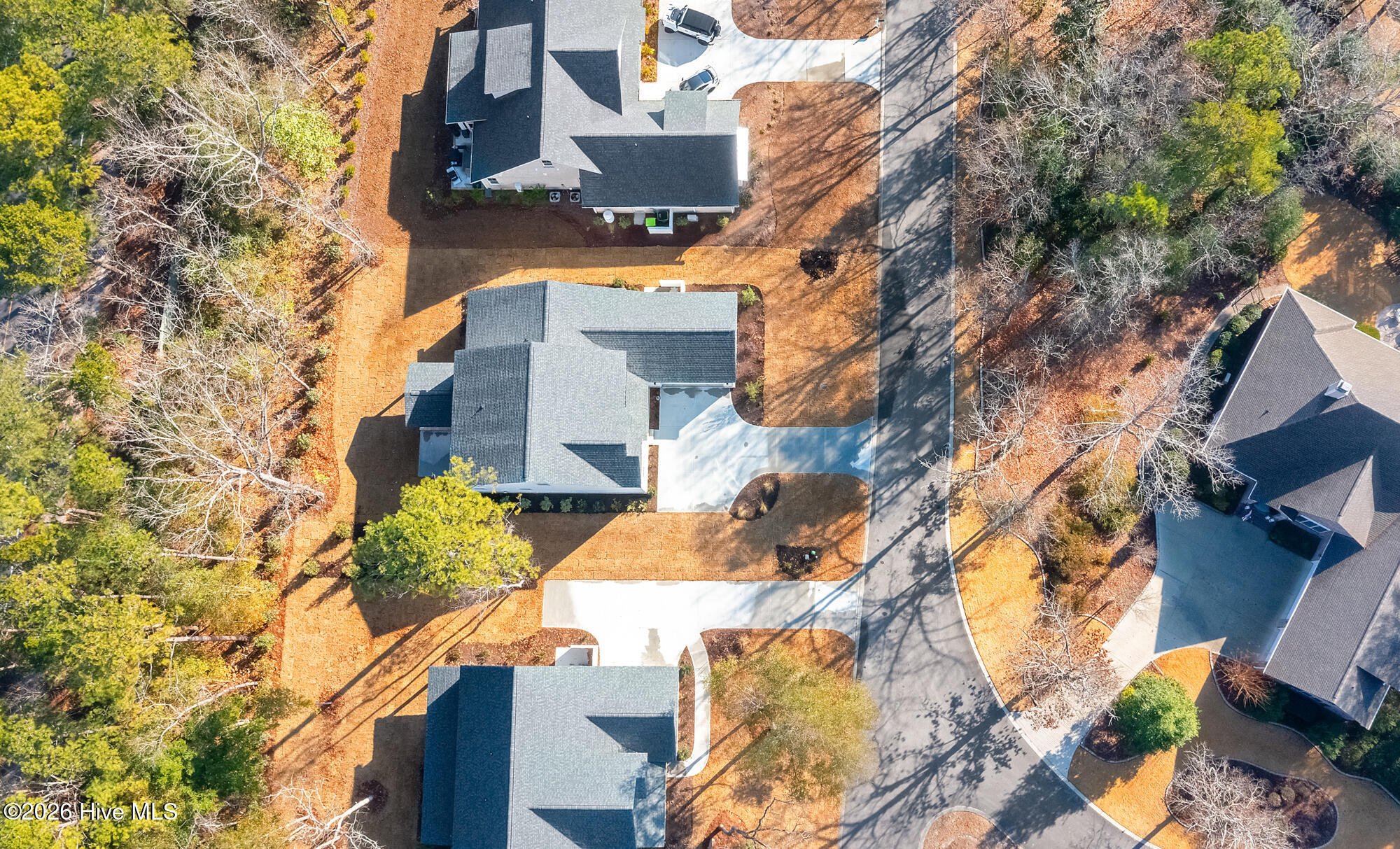 100548303 | Photo 31