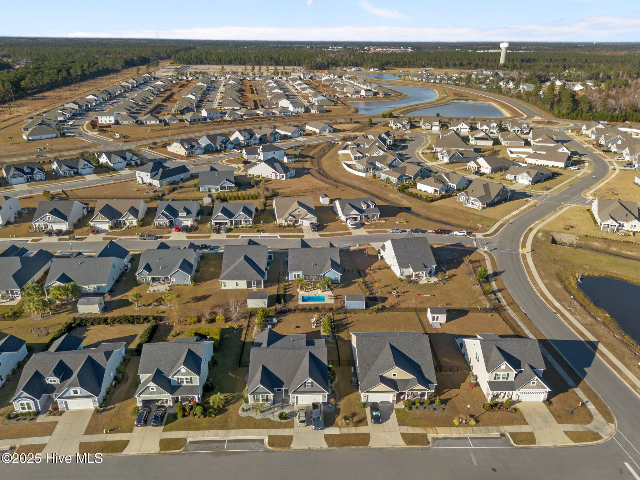 100544271 | Photo 49