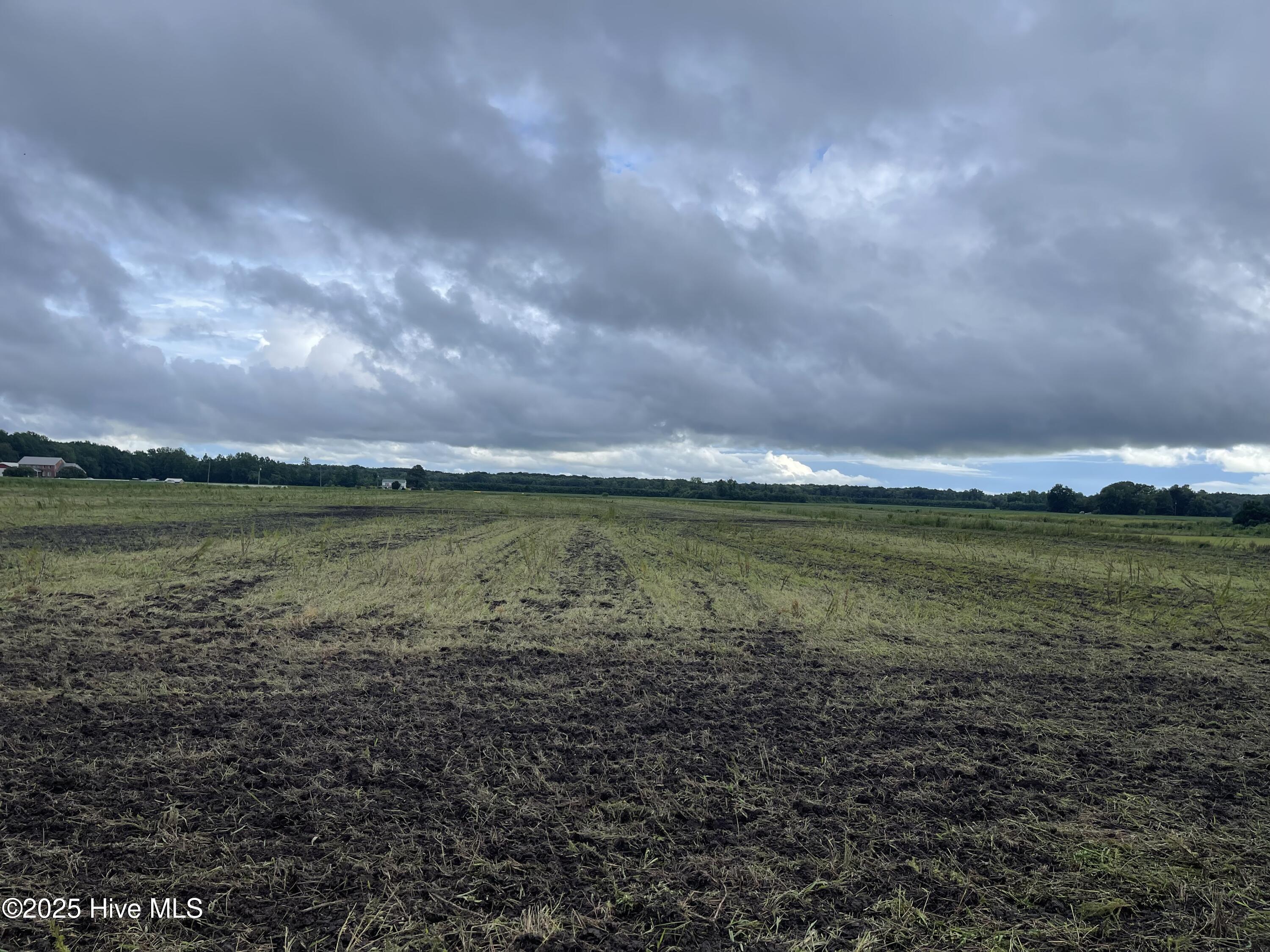 Tbd Ryland Road, Tyner, NC, 27980