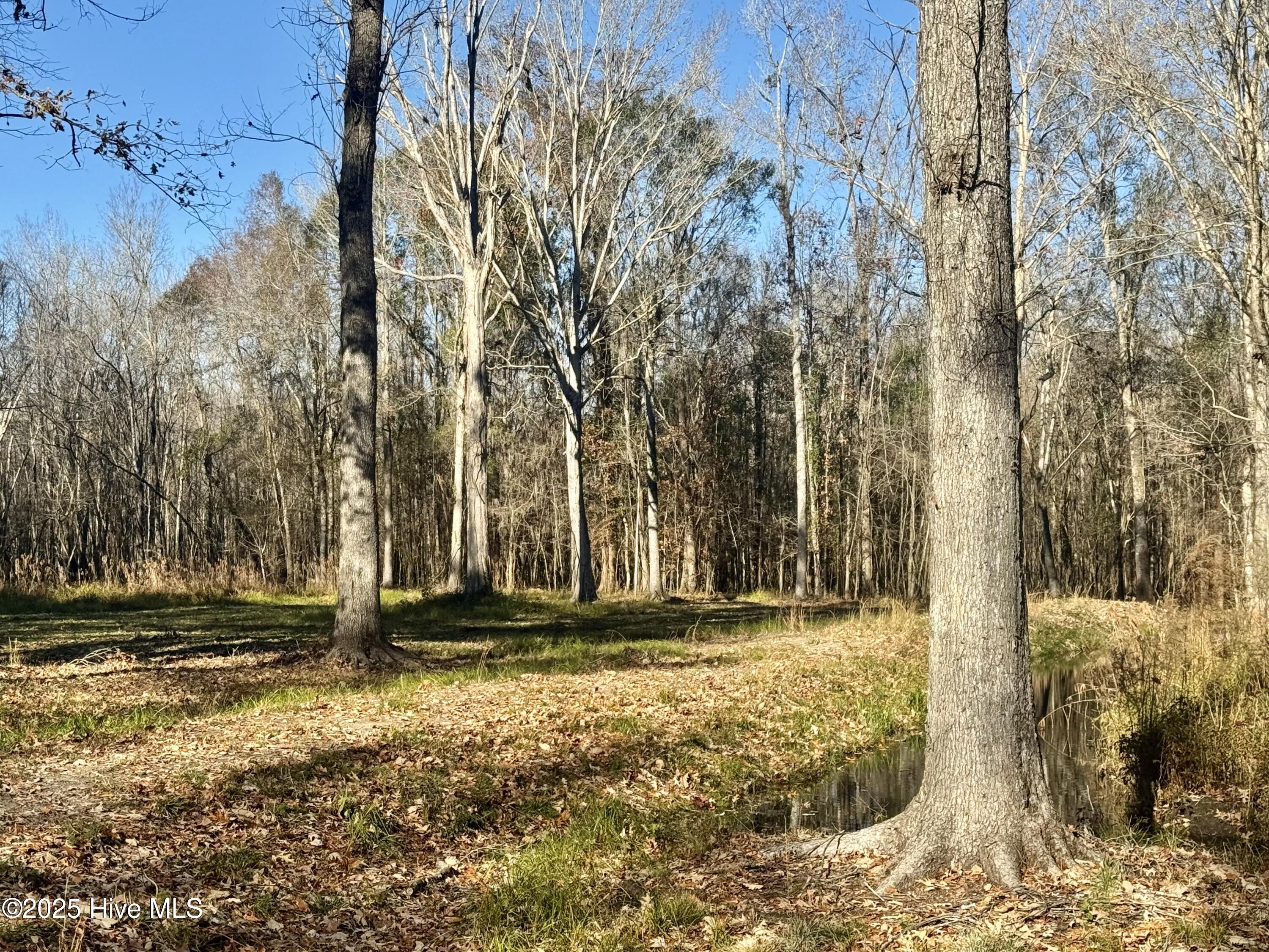 100545170 | Photo 12