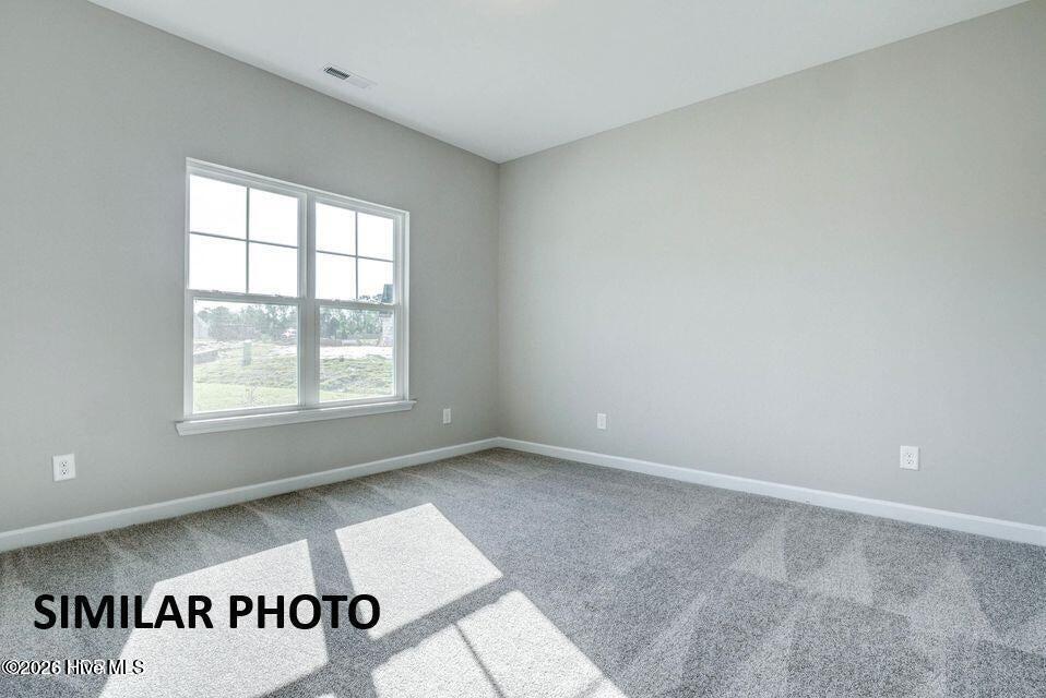 100566505 | Photo 16