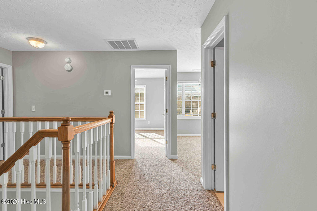 100557733 | Photo 20