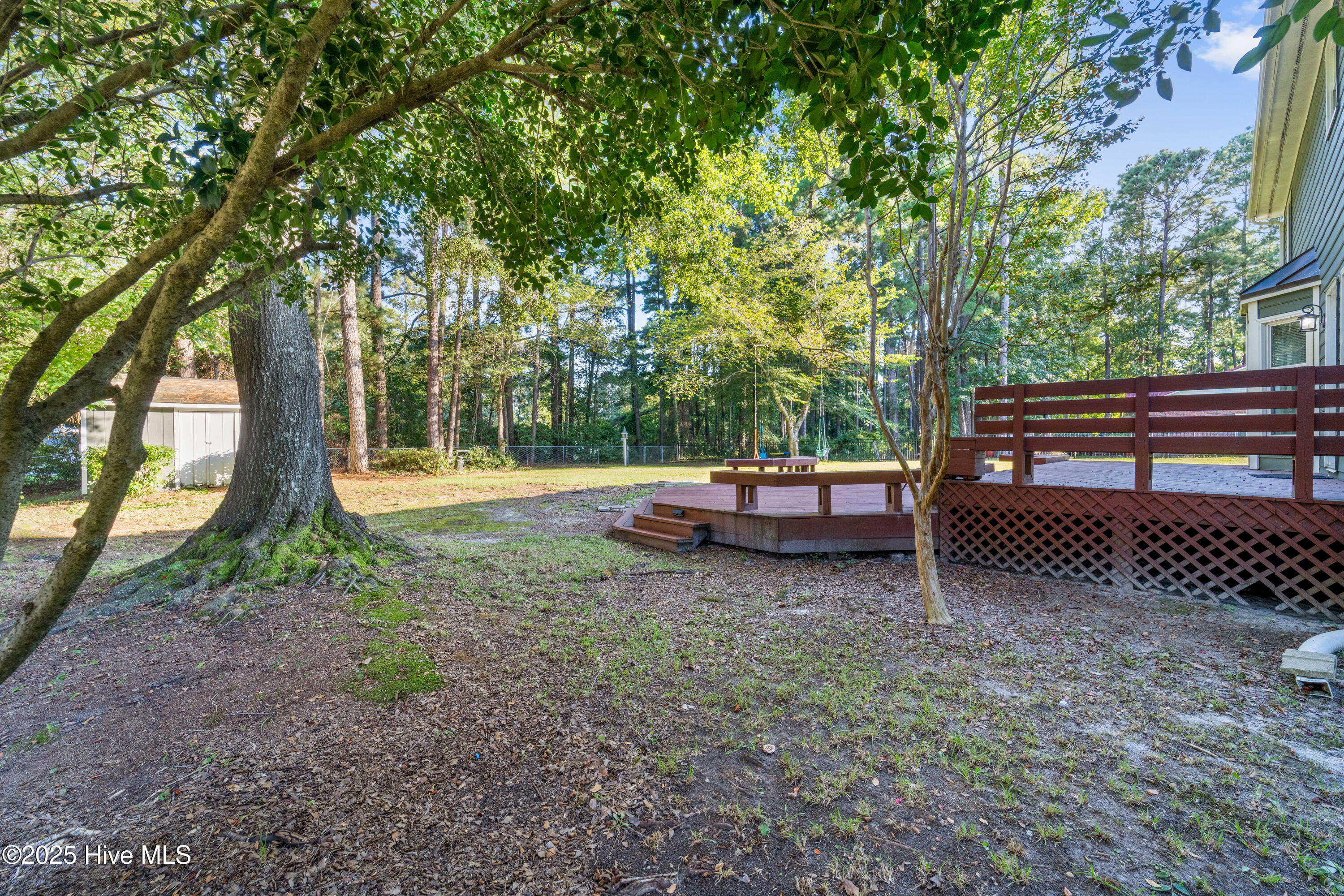 100527968 | Photo 64