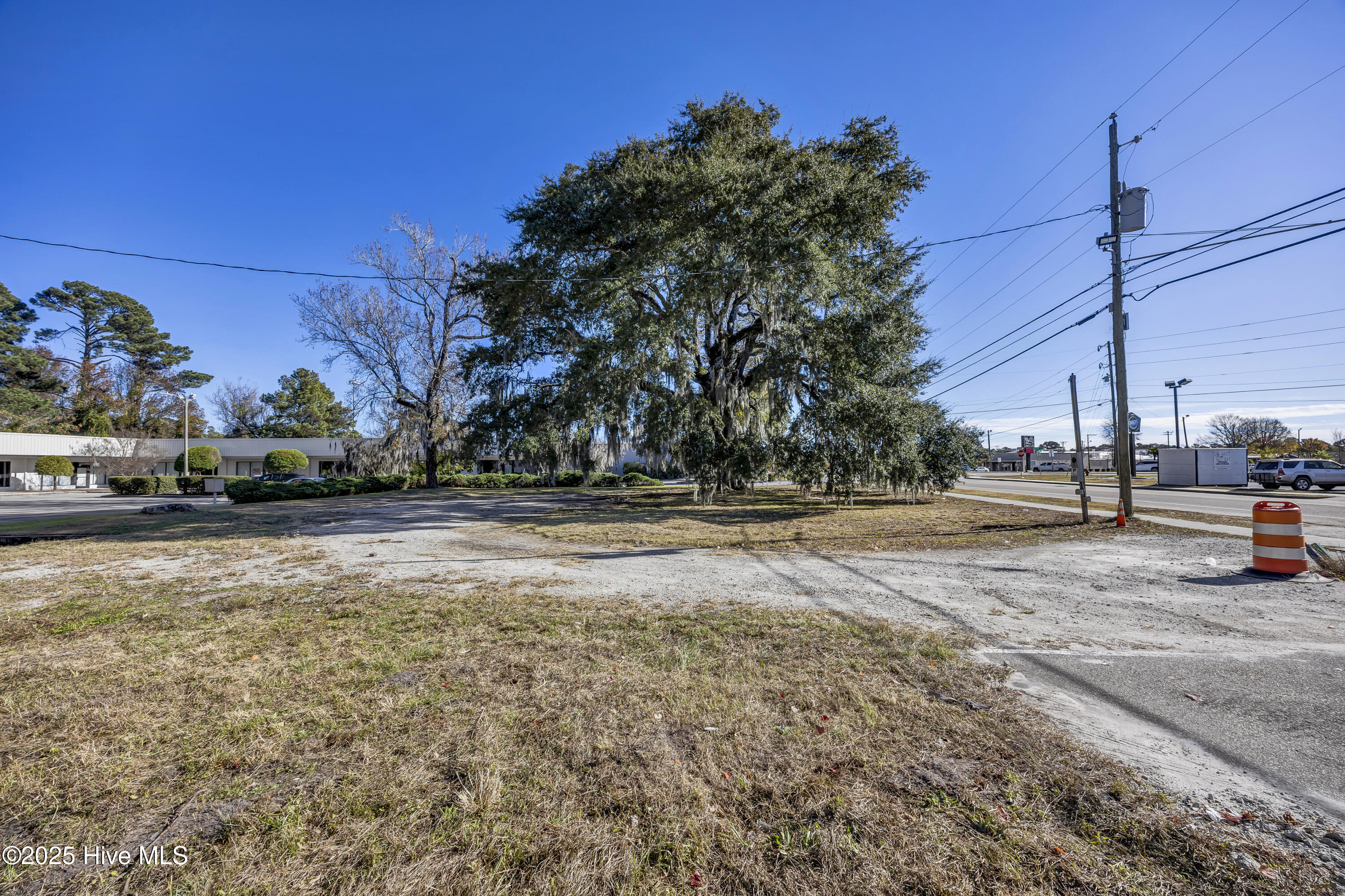 100545529 | Photo 18