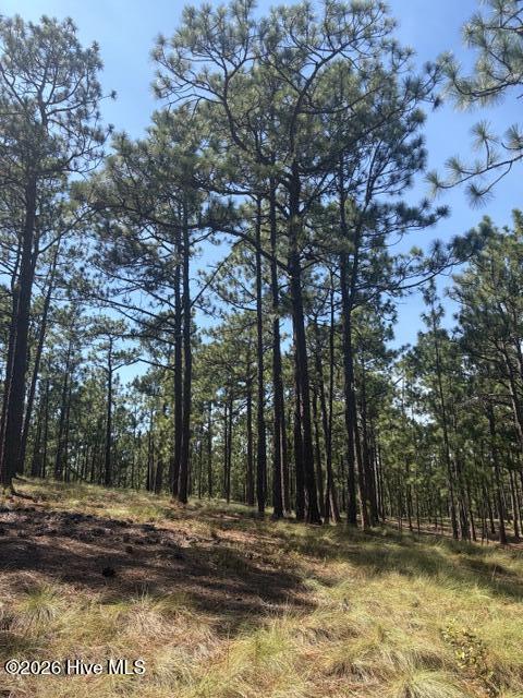 Photo 3 of Land for sale at Tbd Carthage Rd, West End, NC 27376 | MLS# 100602104 | Listing updated on 2026-09-16