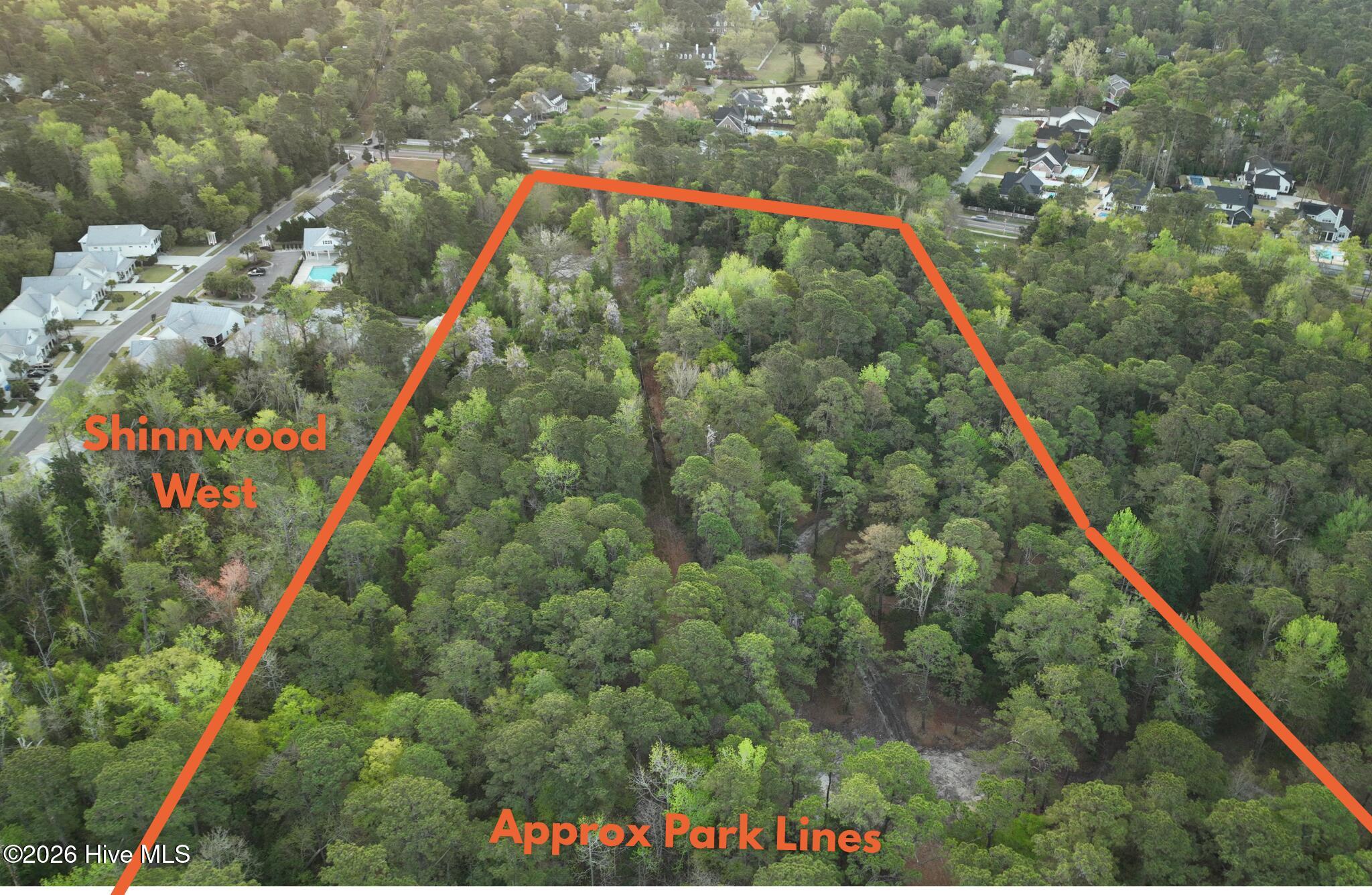 100564724 | Photo 29