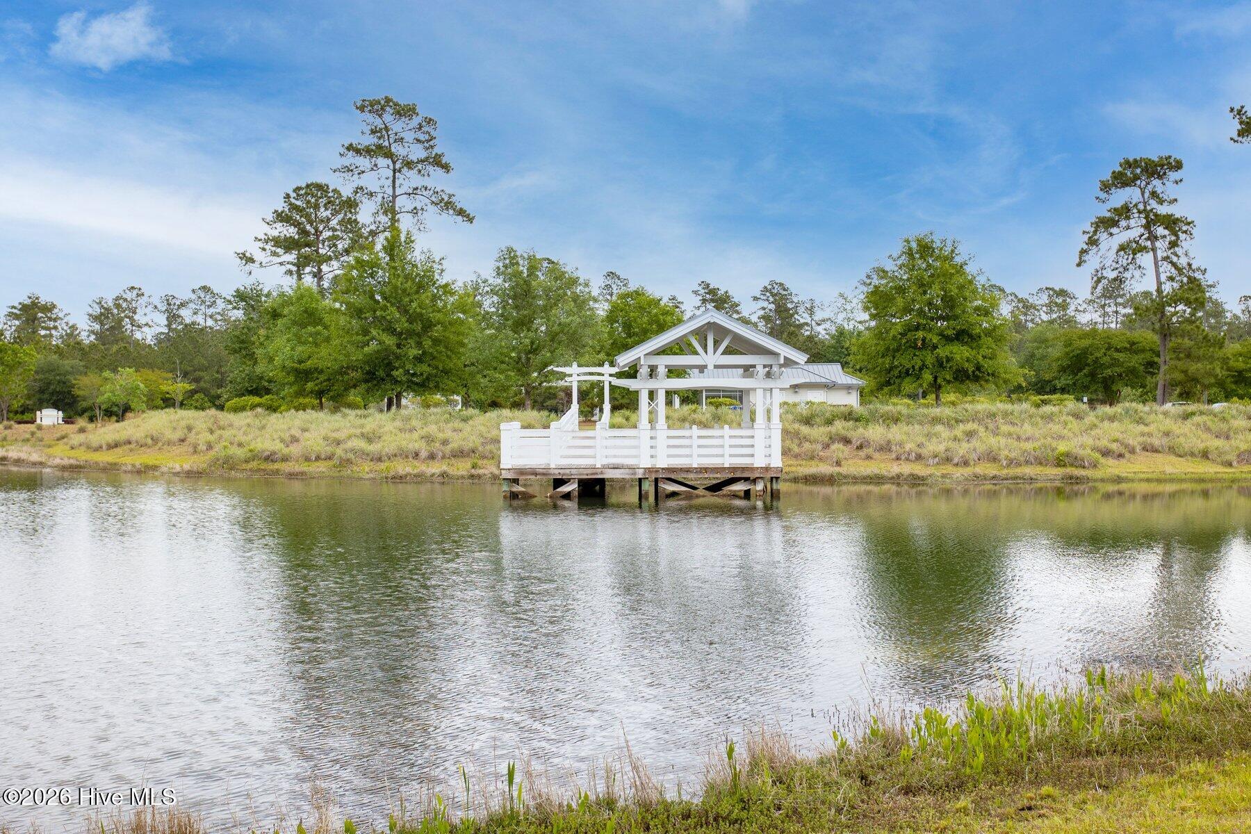 100558018 | Photo 39