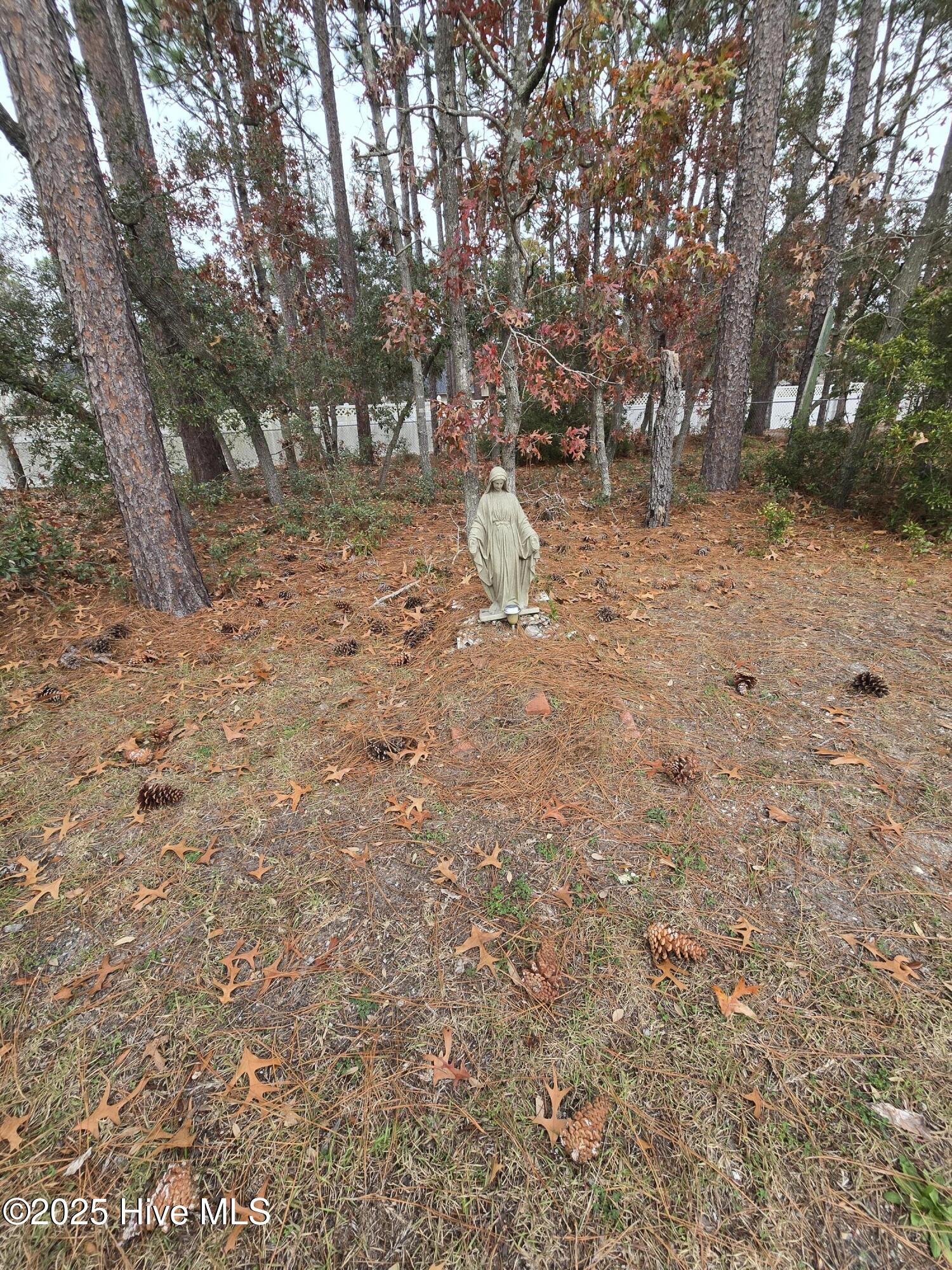 100543603 | Photo 40