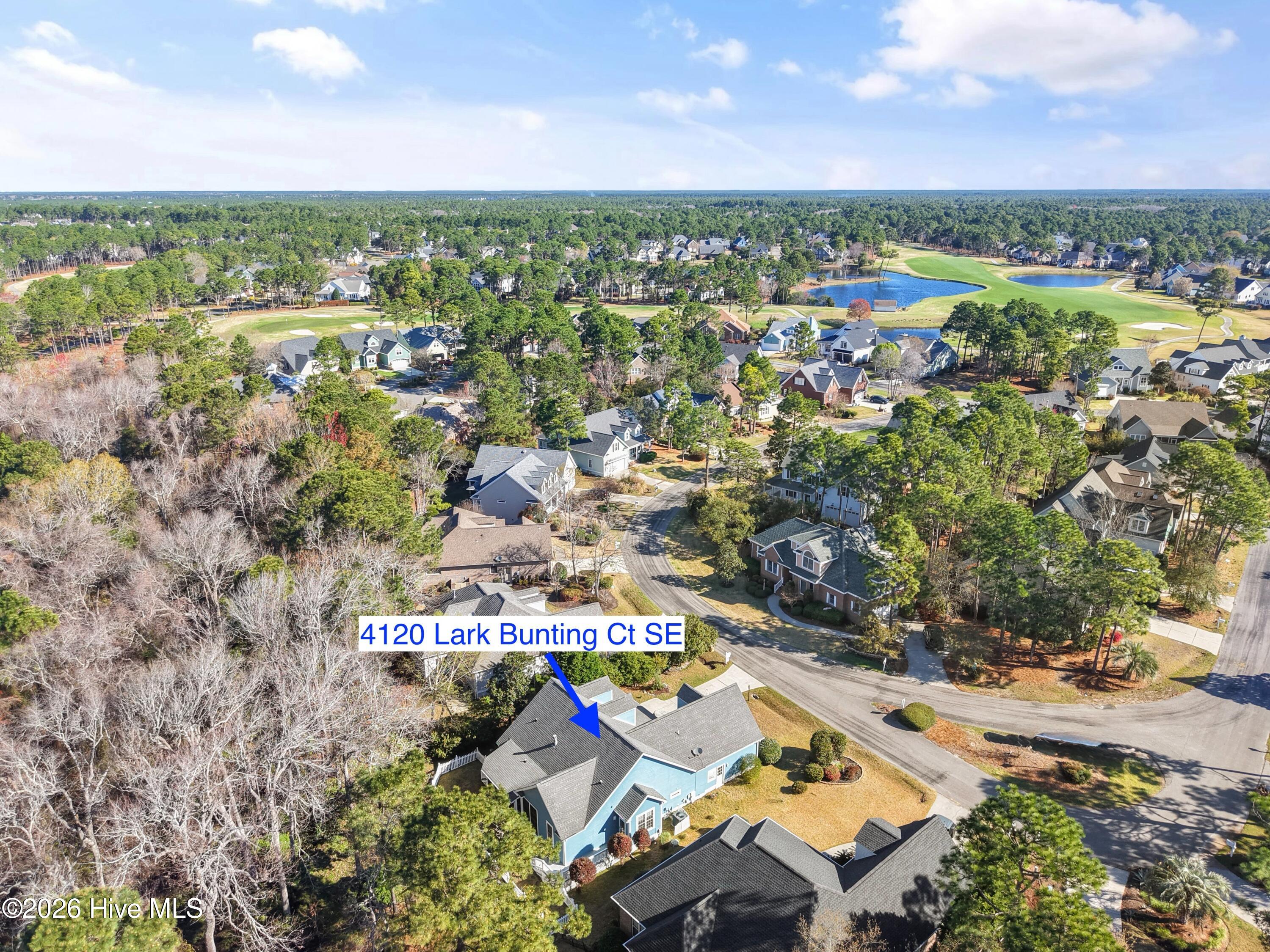 100561490 | Photo 57