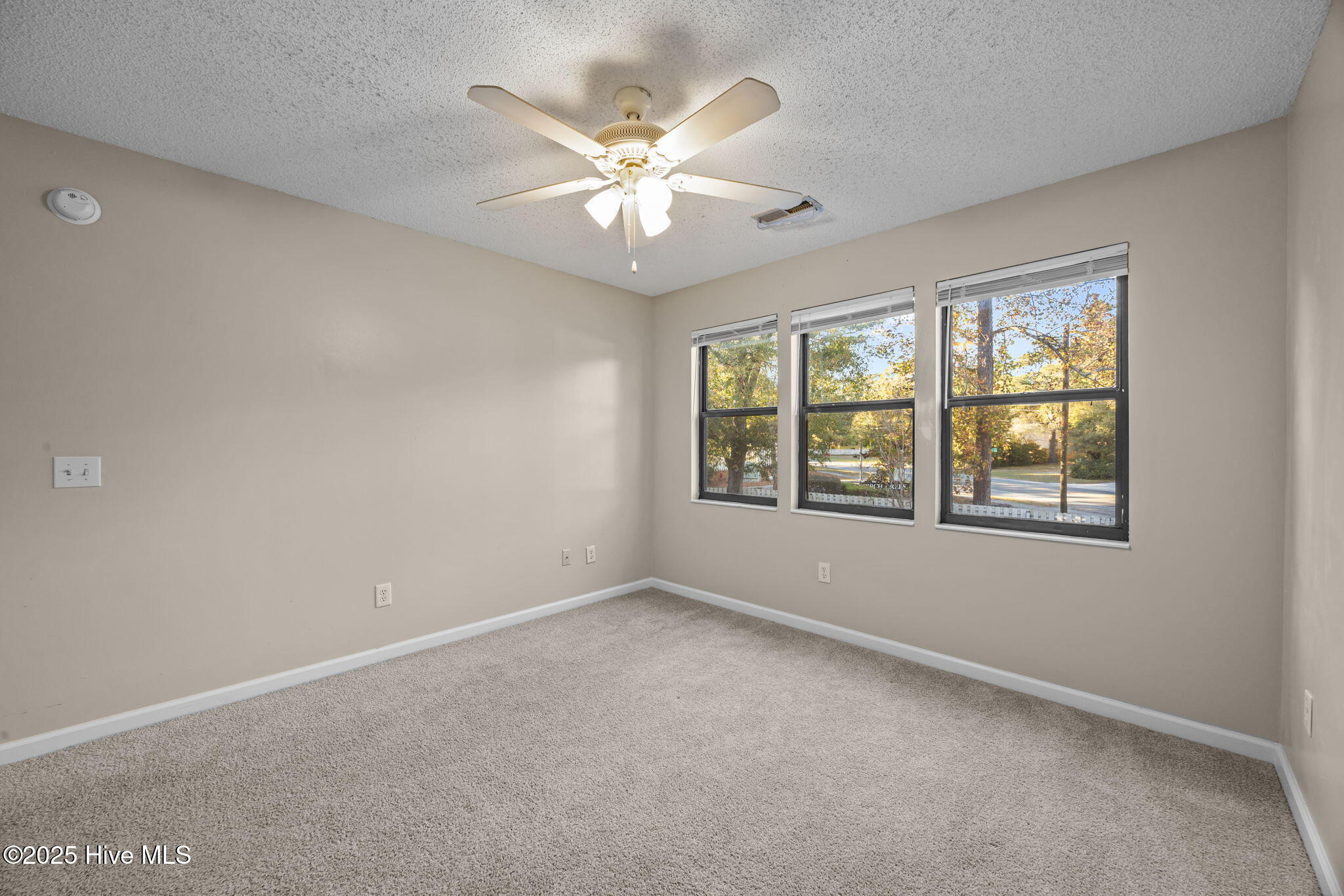 100543973 | Photo 29