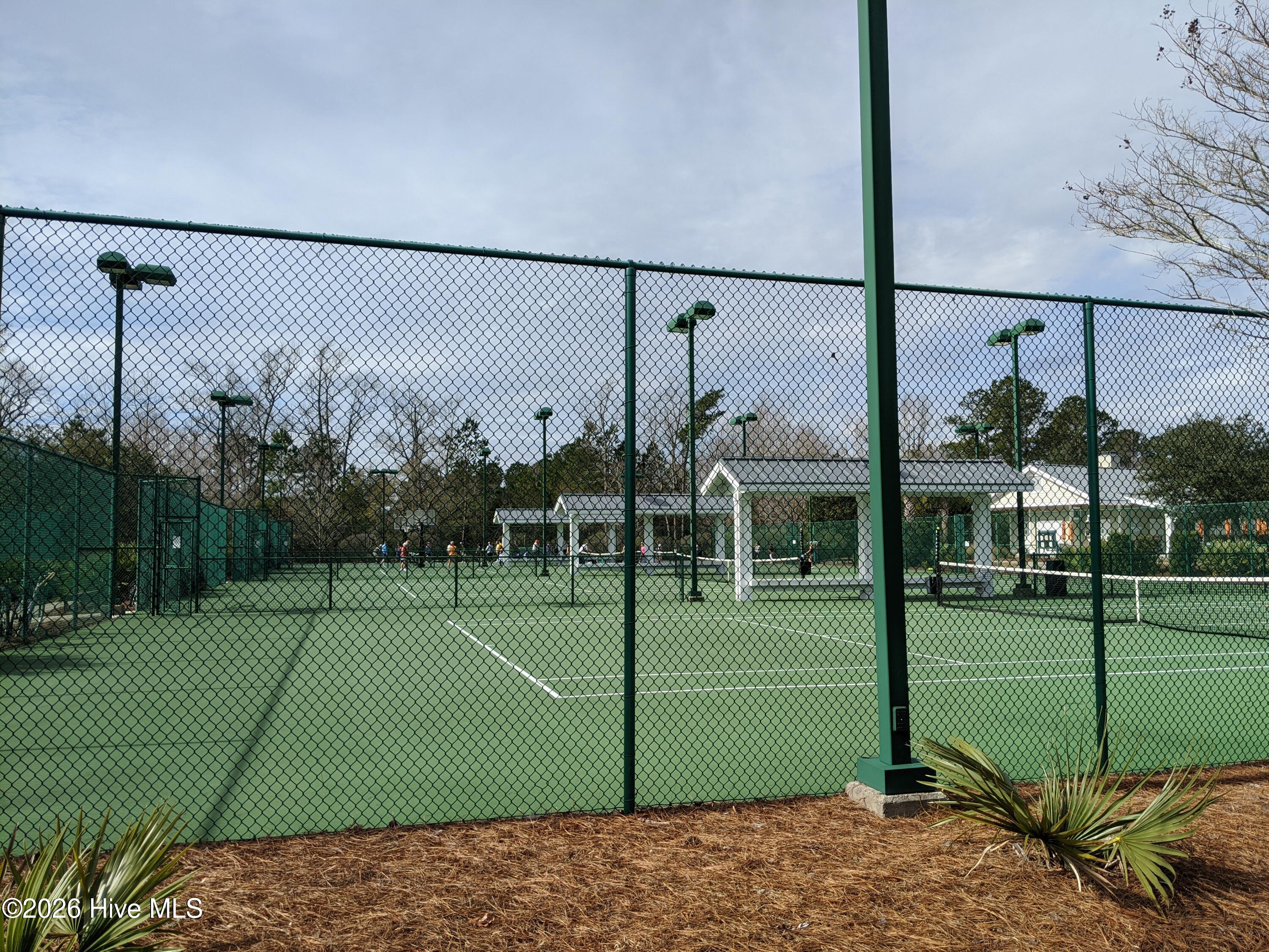 100564623 | Photo 29