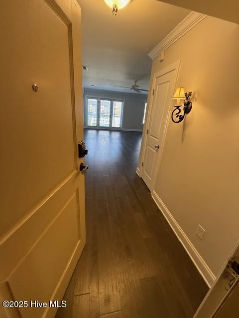 100537767 | Photo 12