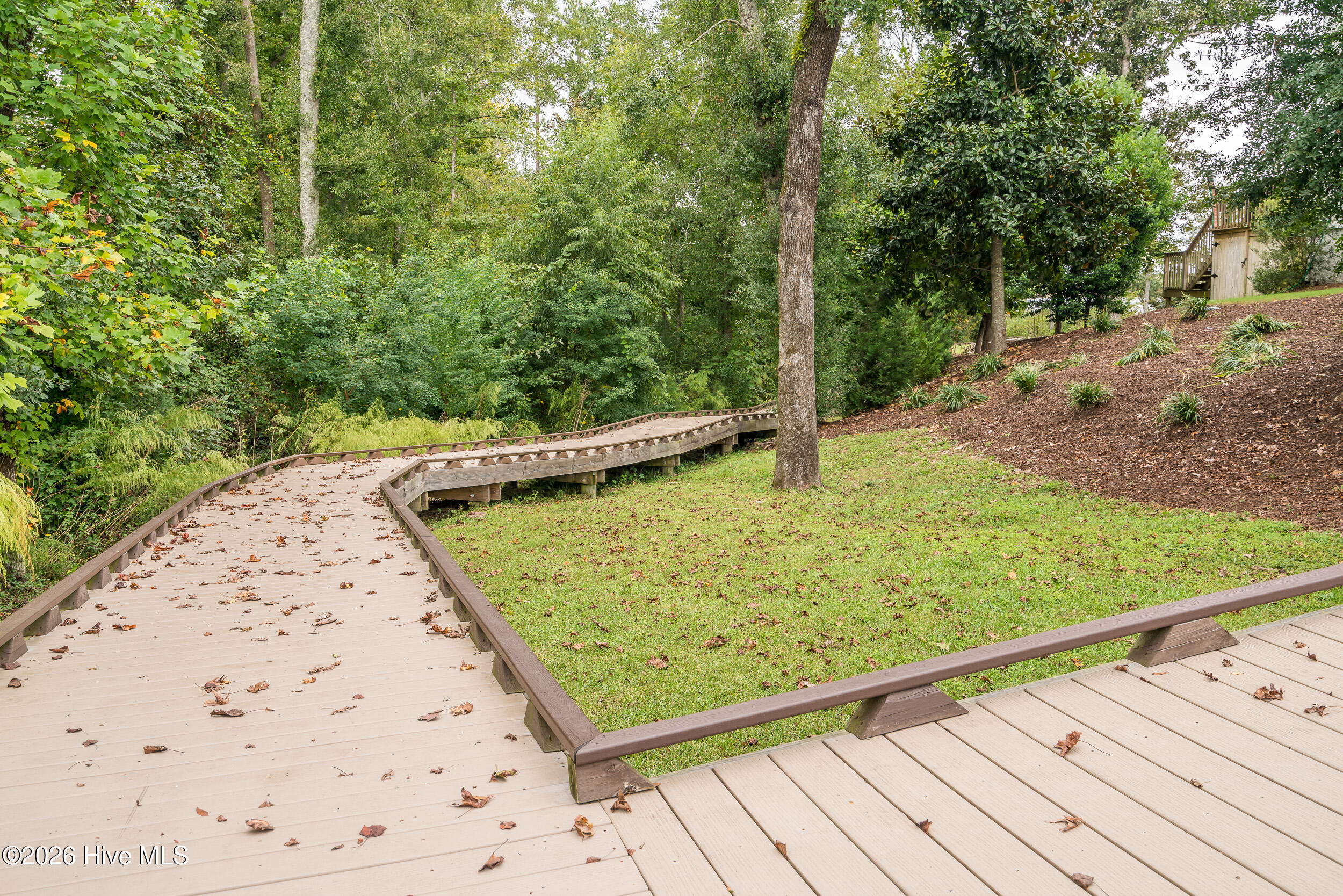 100551488 | Photo 44