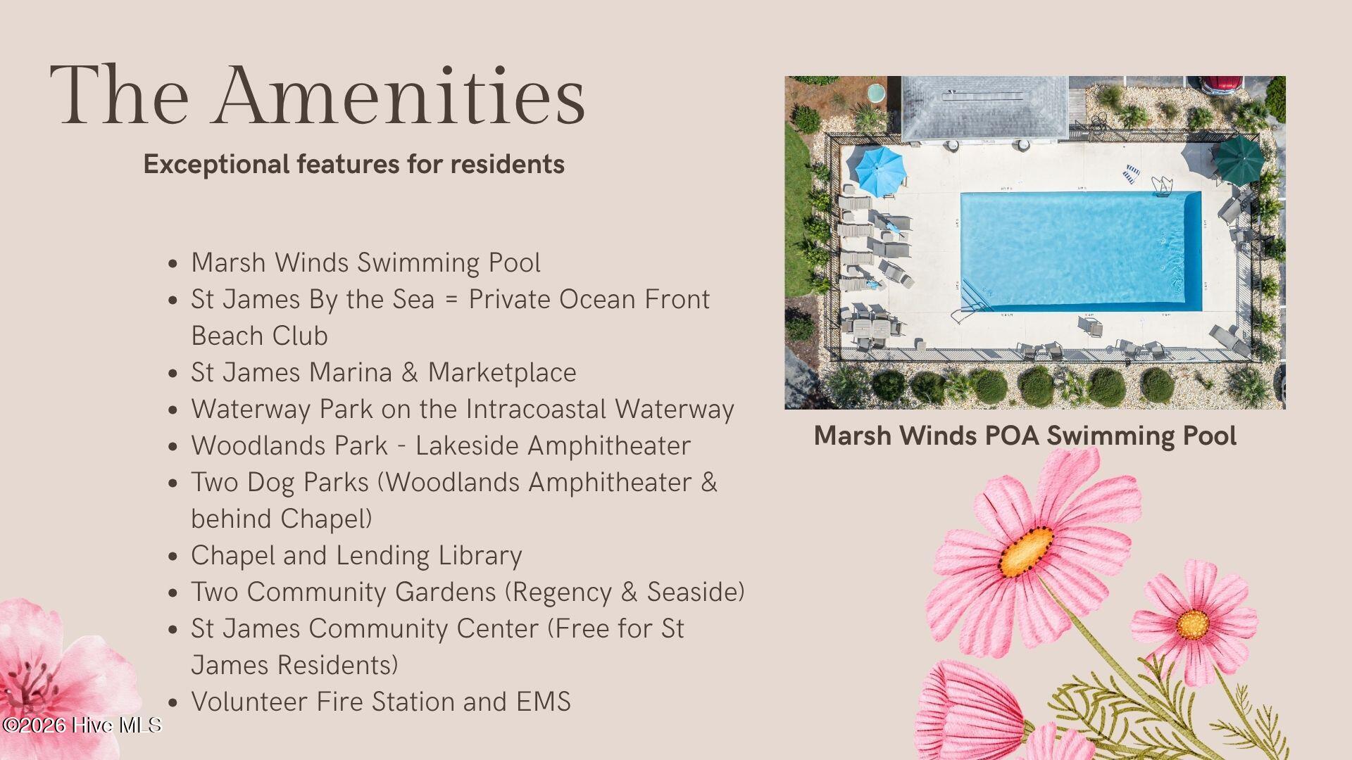 100562501 | Photo 49