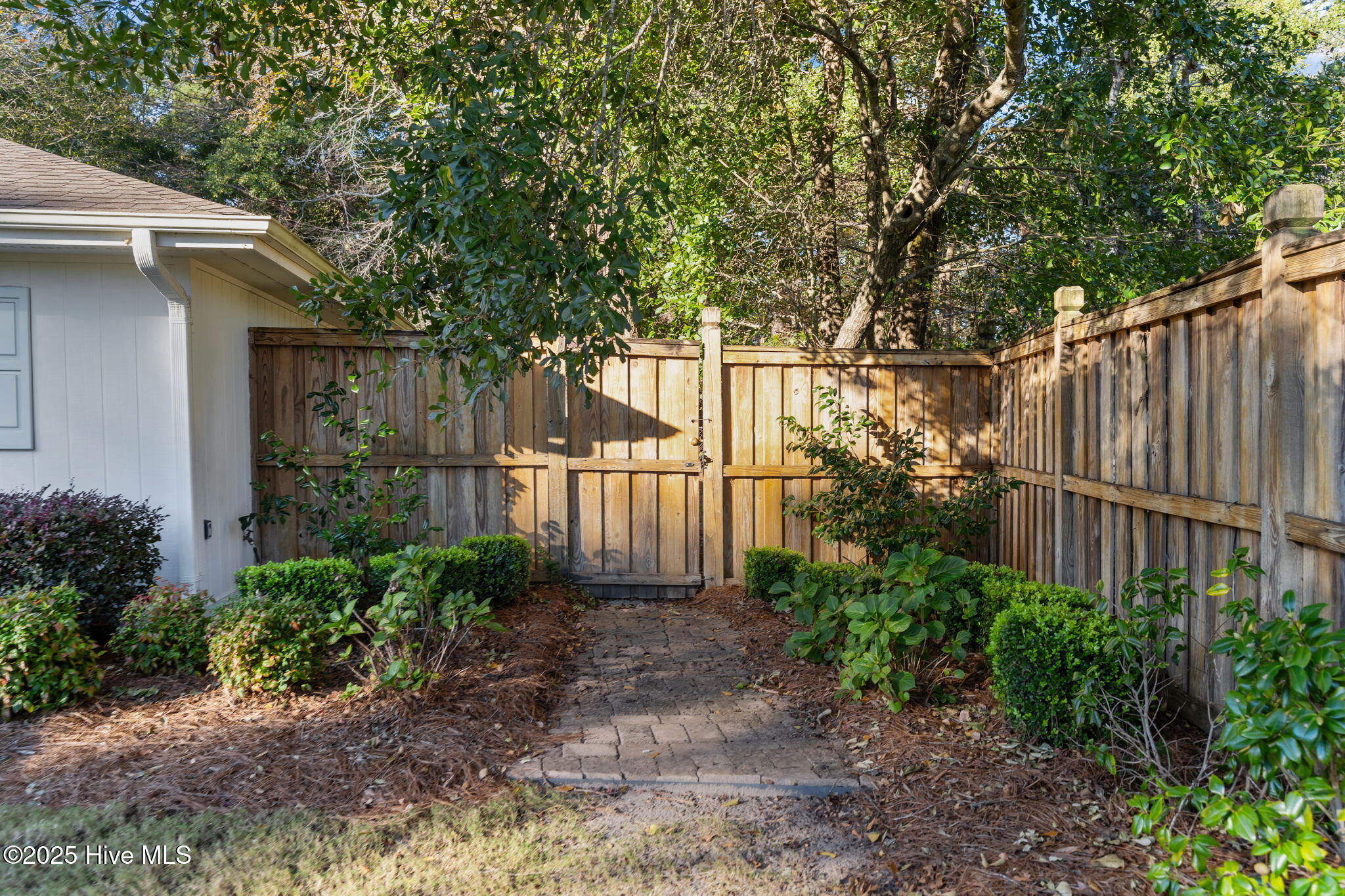 100537422 | Photo 57