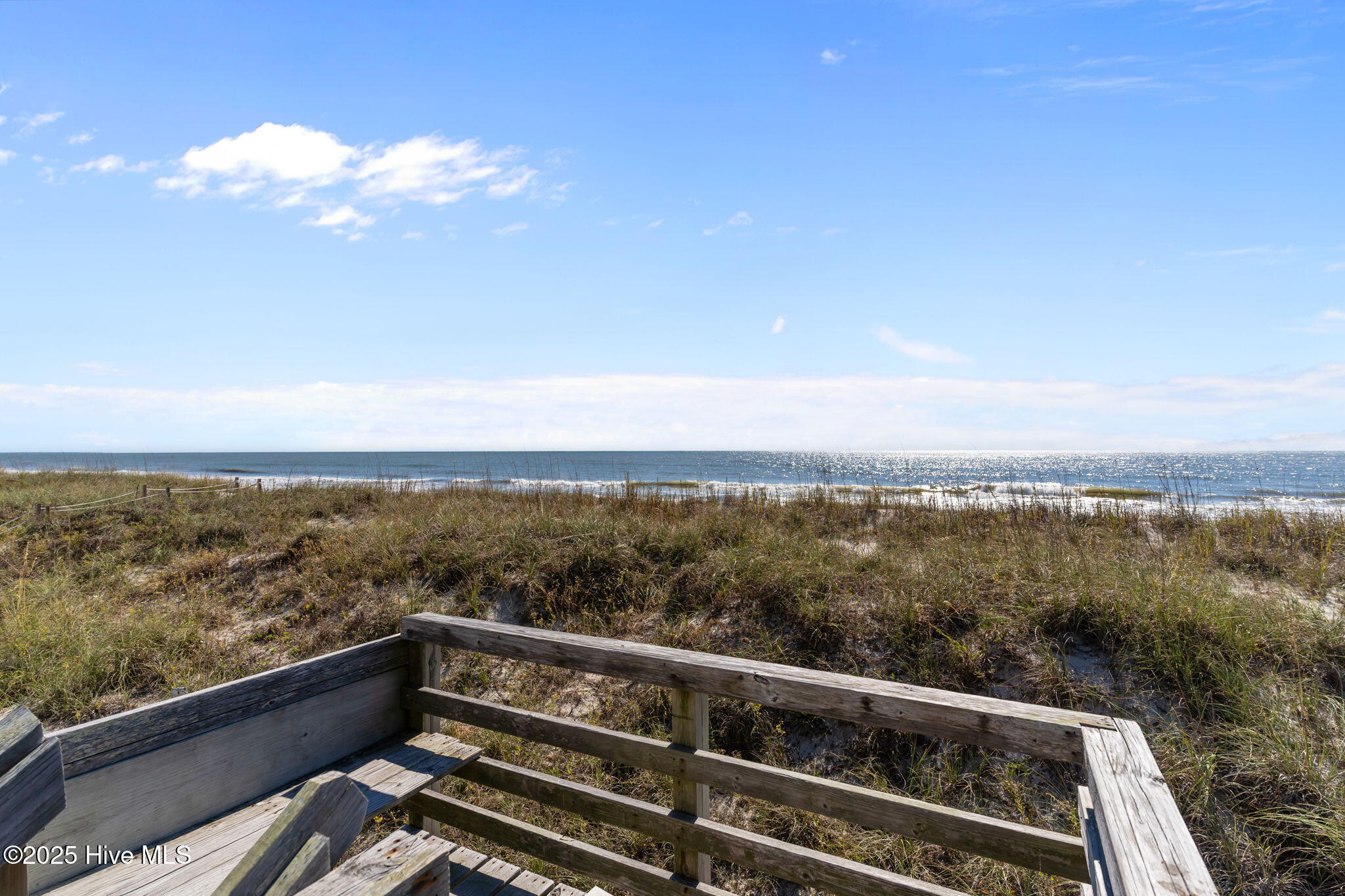 100539886 | Photo 35