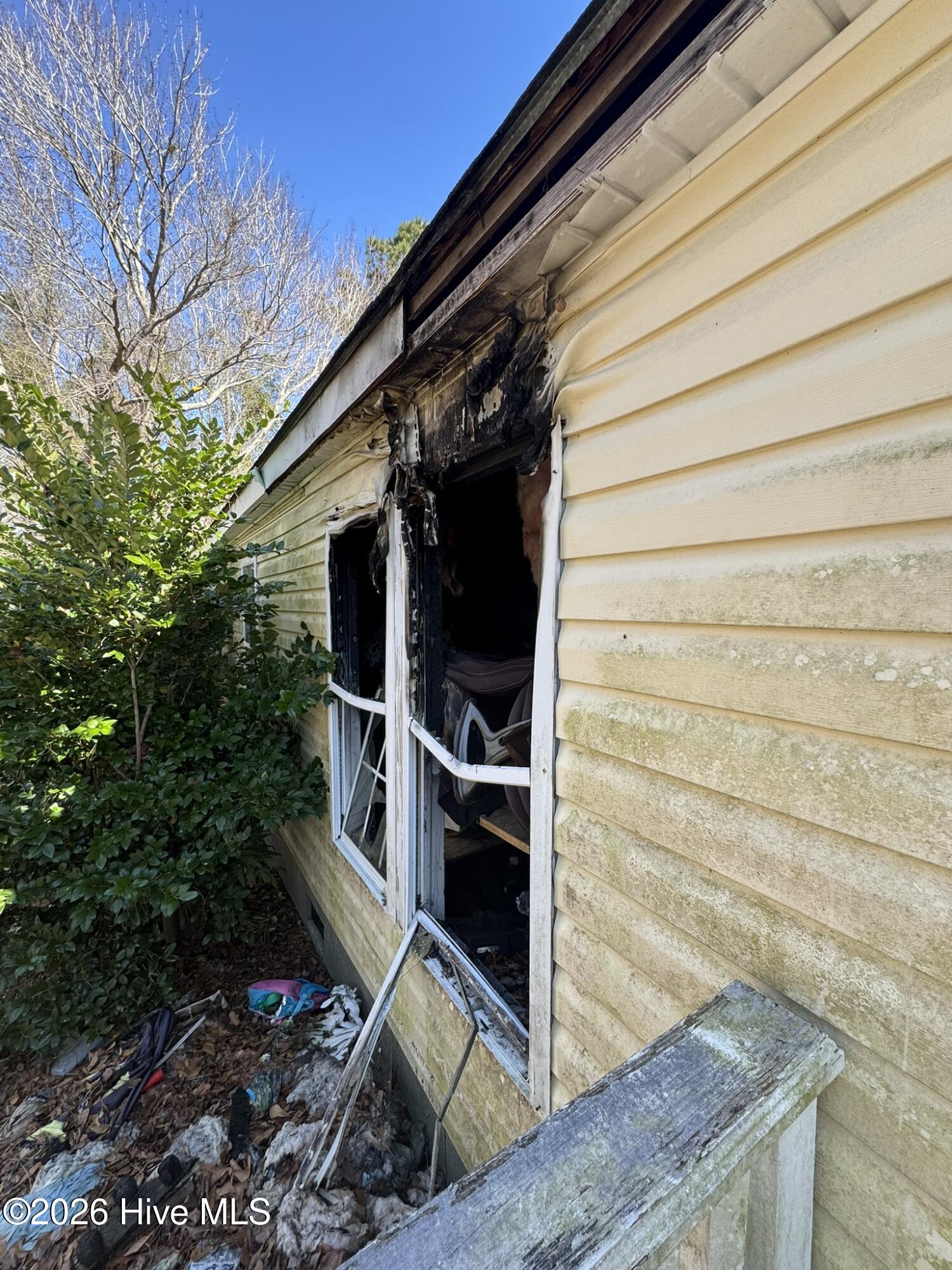 100558143 | Photo 13