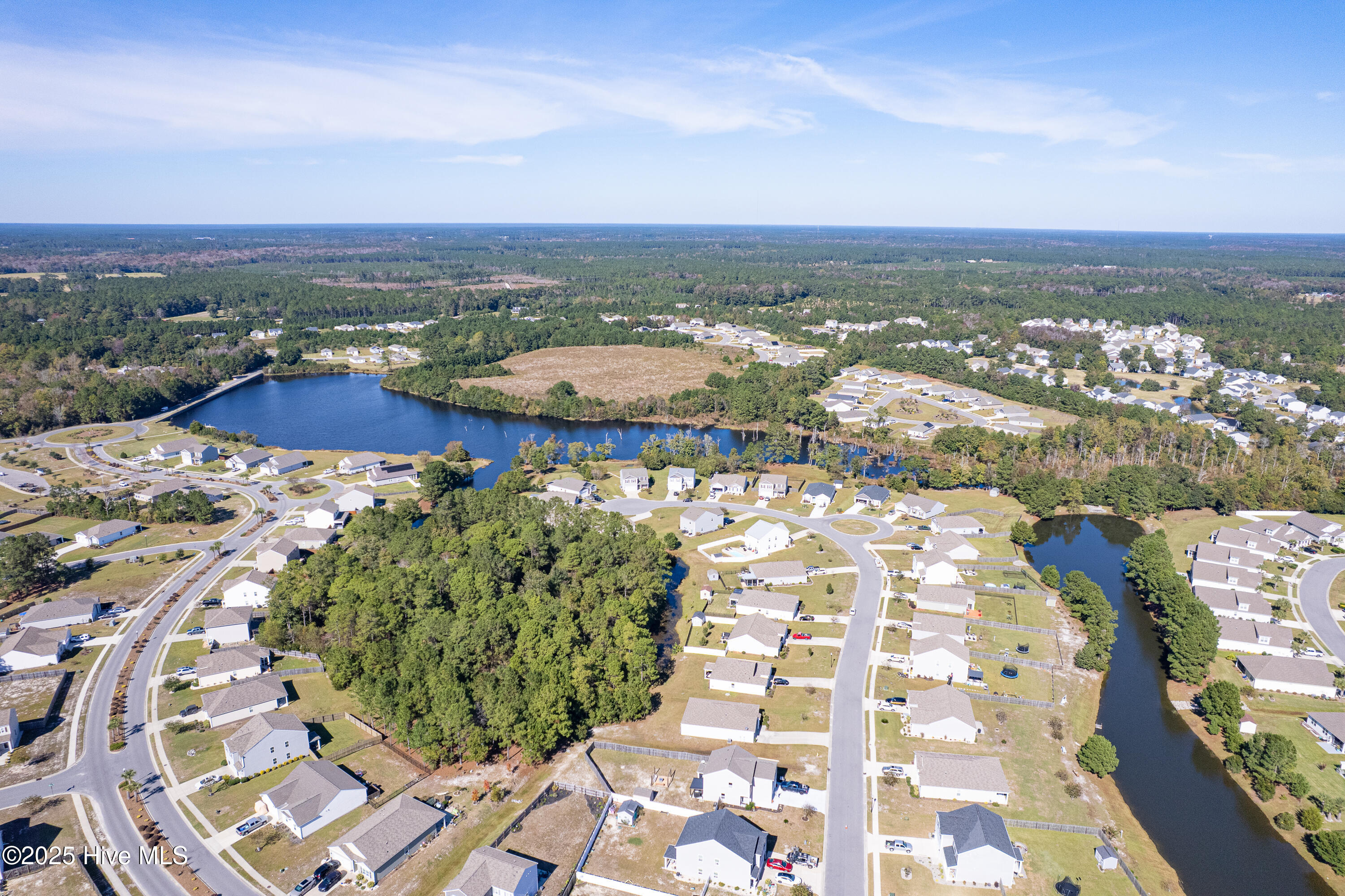 100538359 | Photo 30