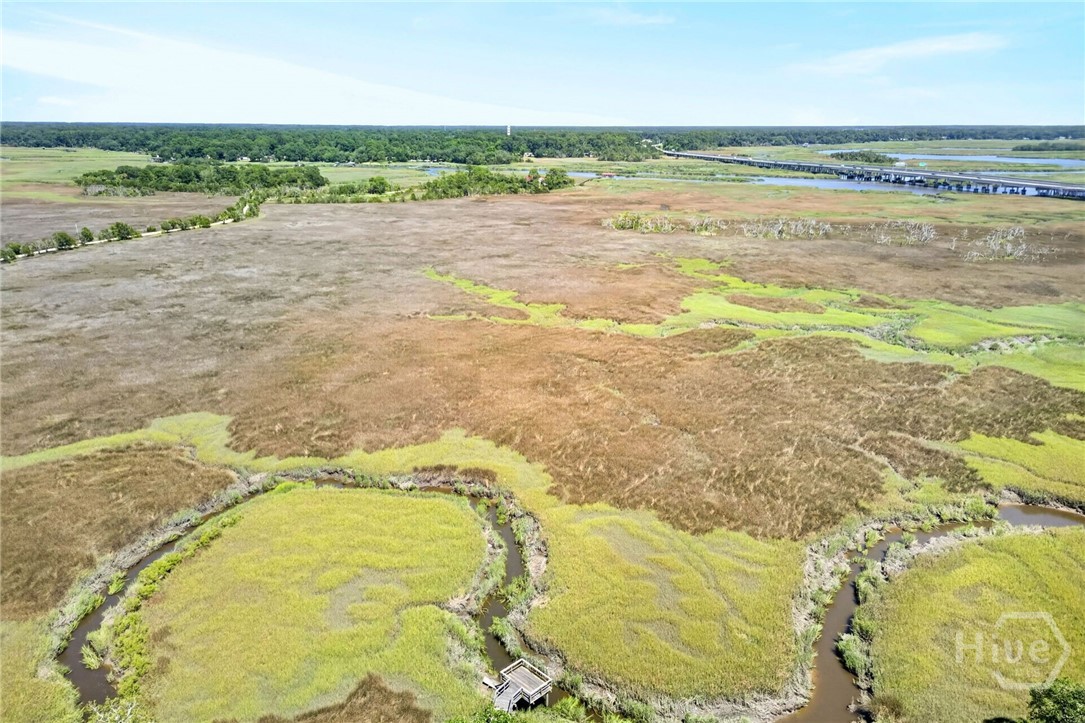 Marsh View