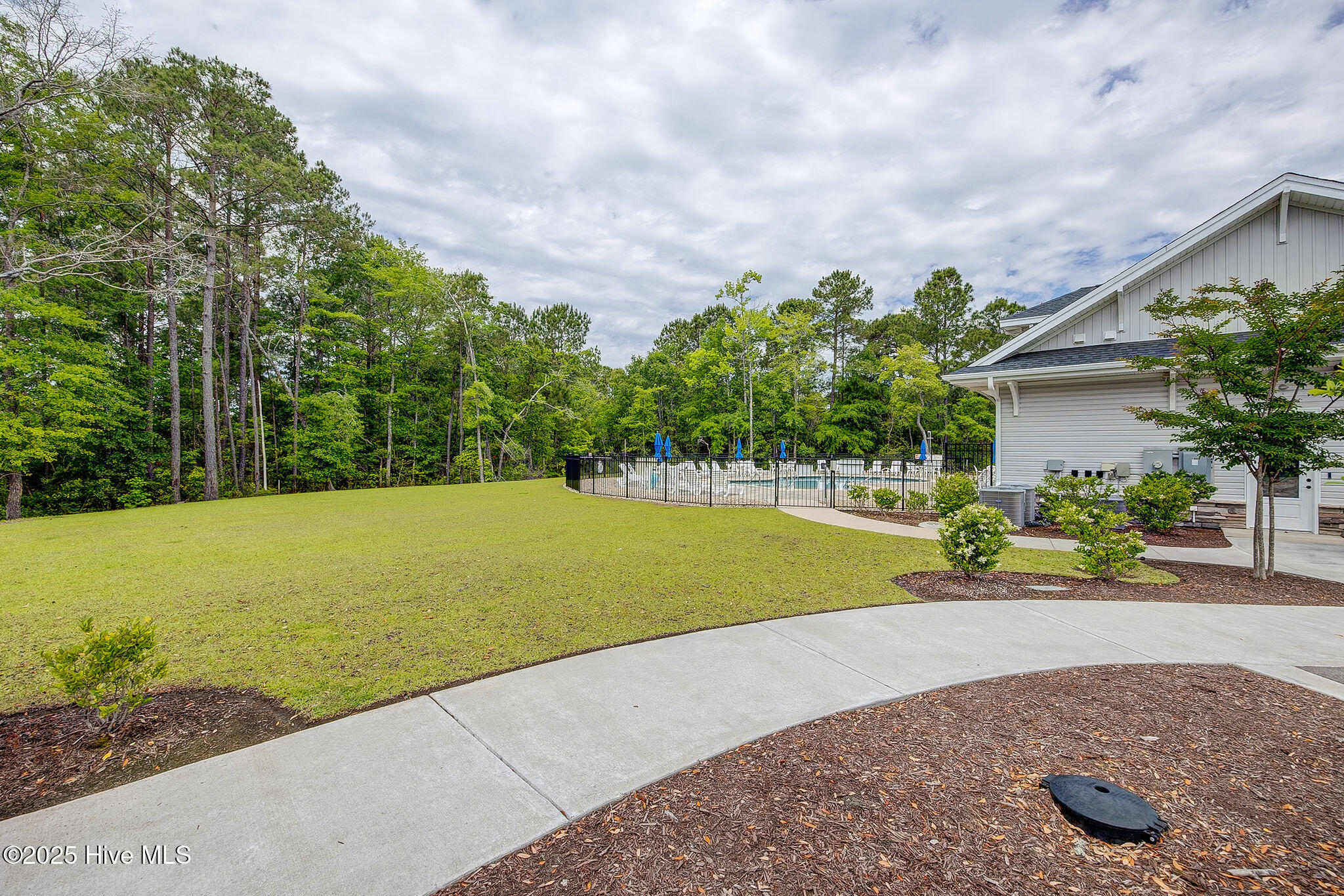 100506096 | Photo 39