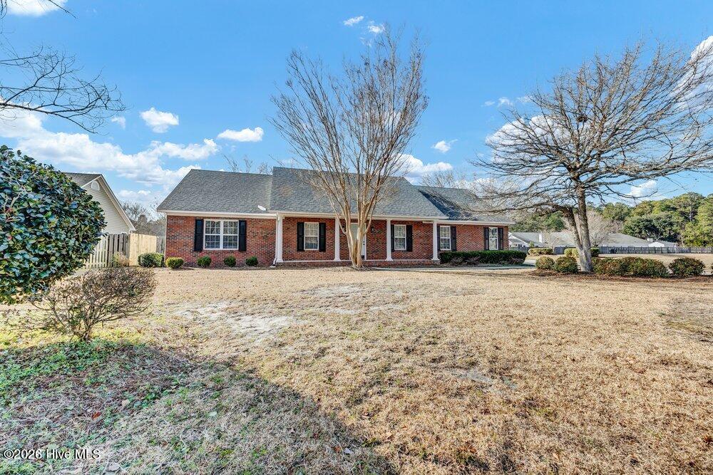 100553481 | Photo 29