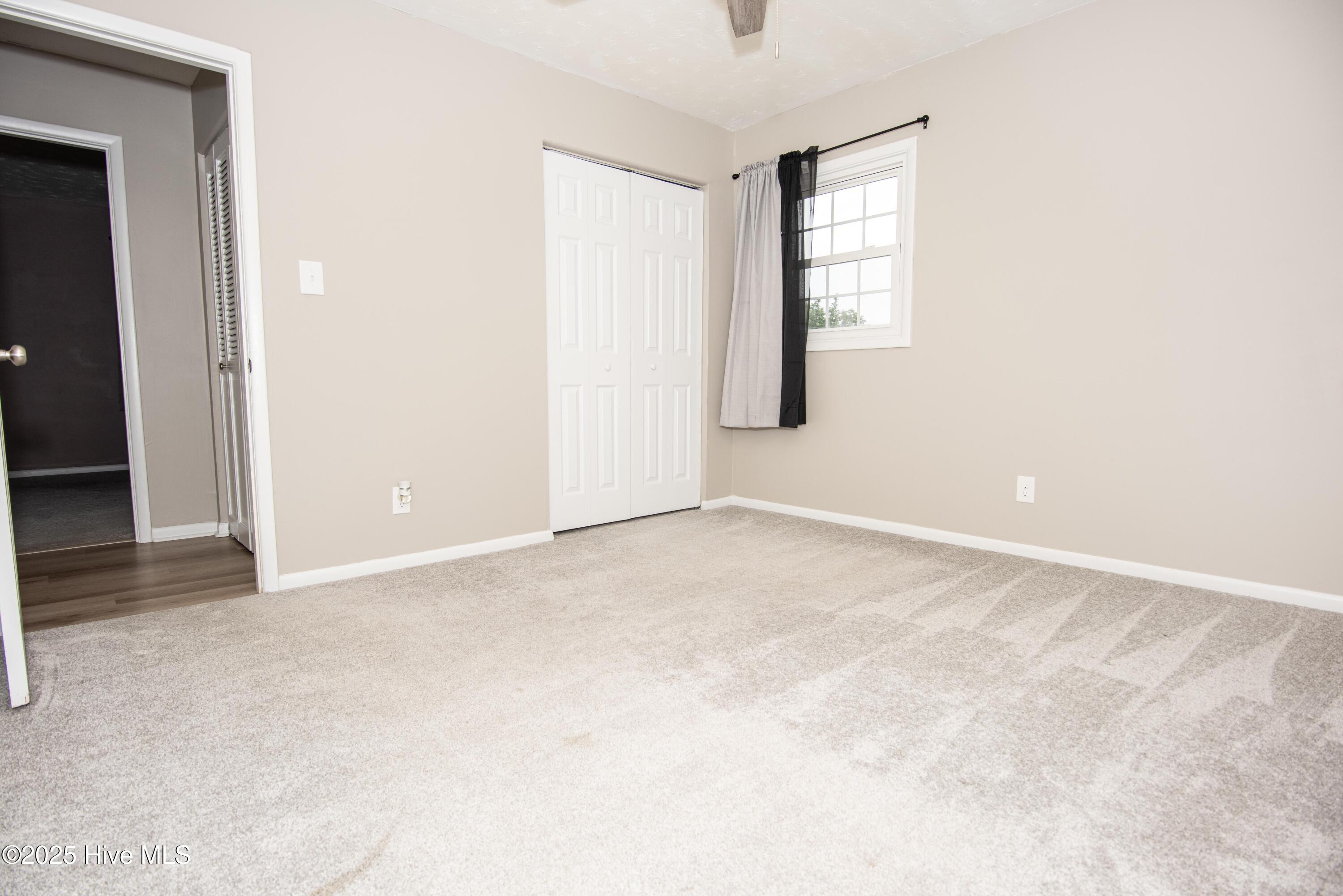 100536196 | Photo 33