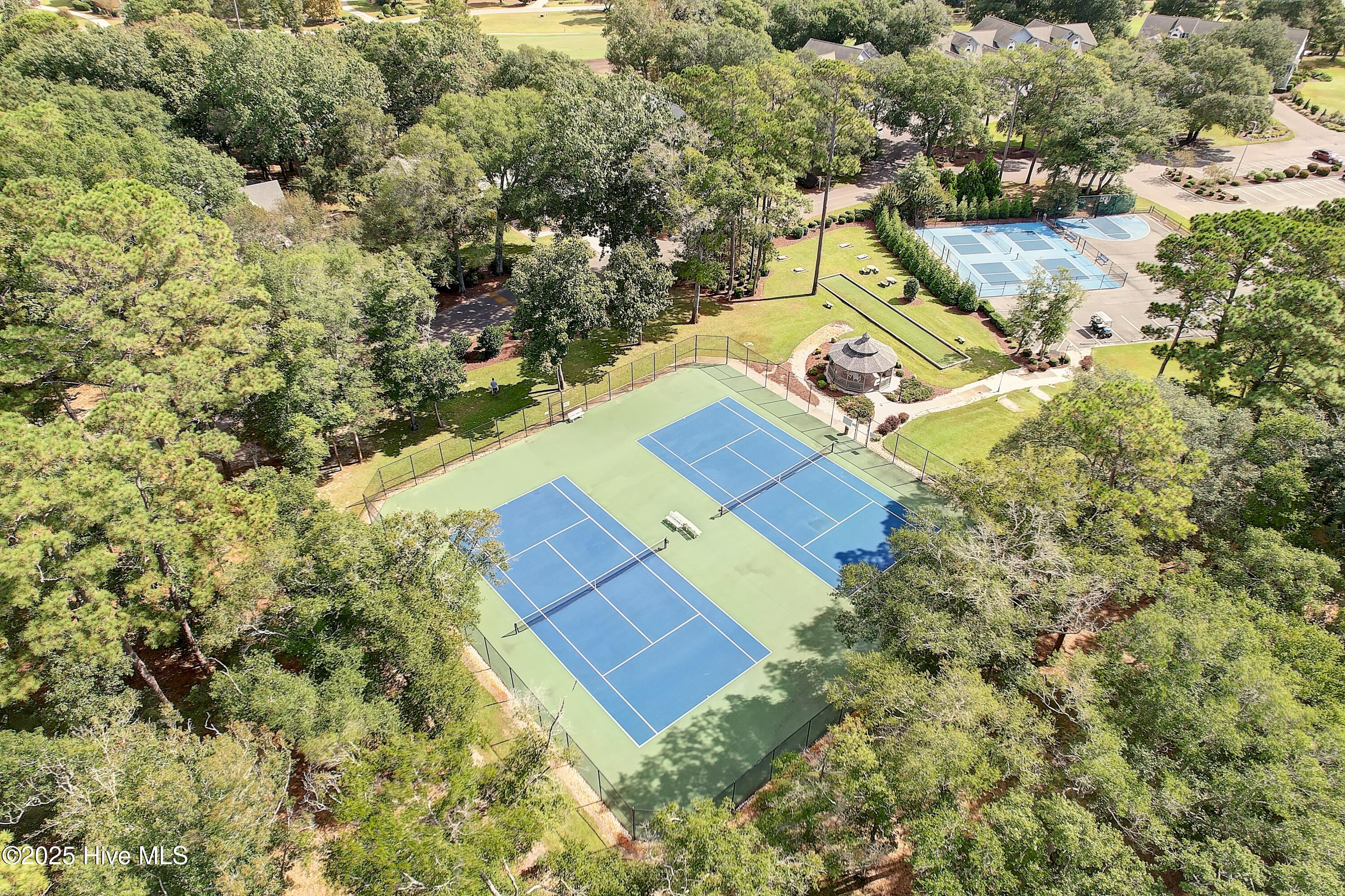 100533806 | Photo 44