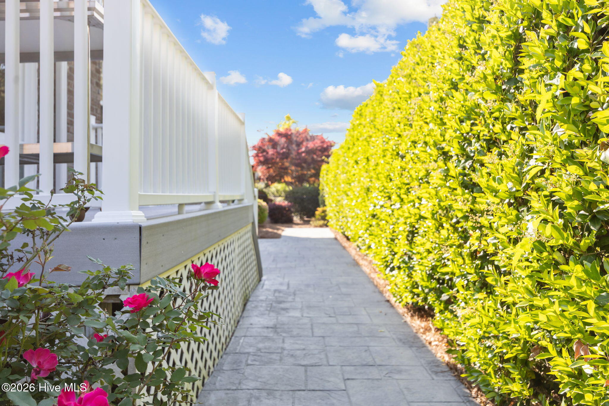 100567034 | Photo 31