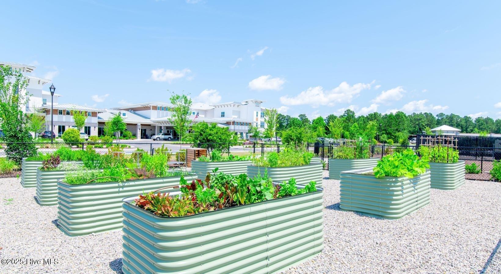 100522725 | Photo 14