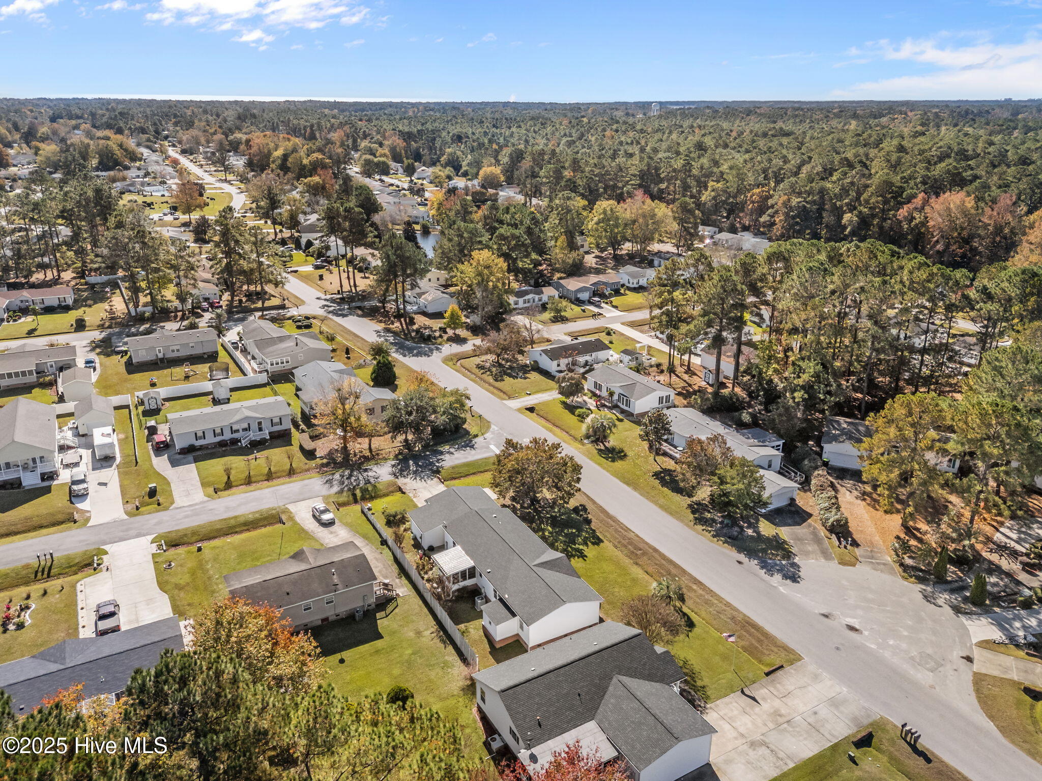 100535102 | Photo 47