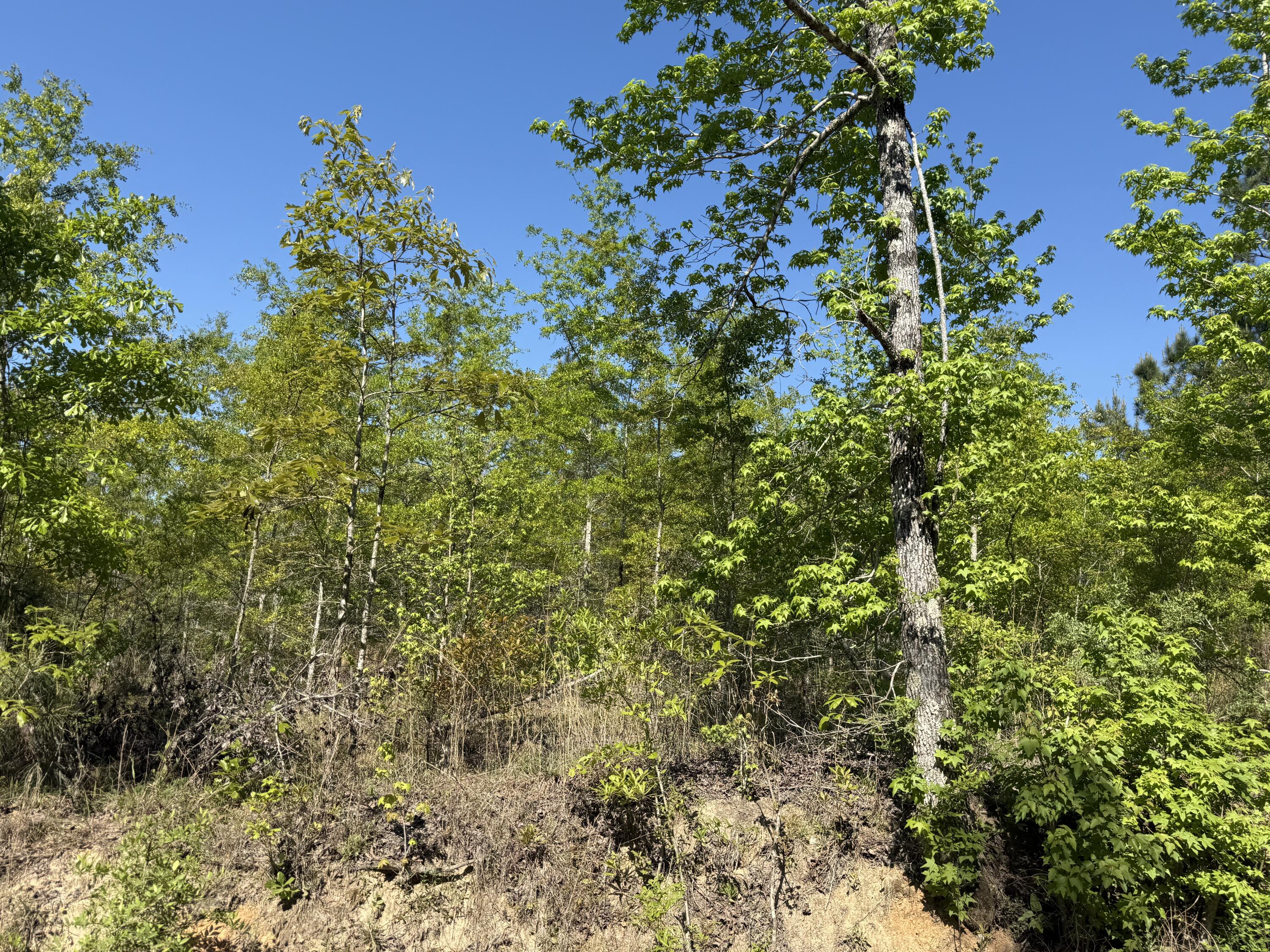 8087 Sandhill Road, Mitchell, GA, 30820