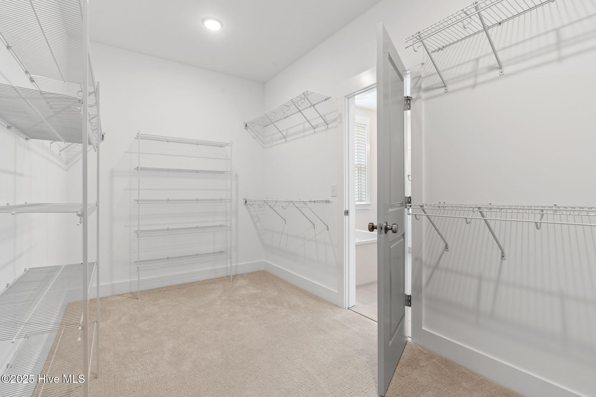 100485304 | Photo 30