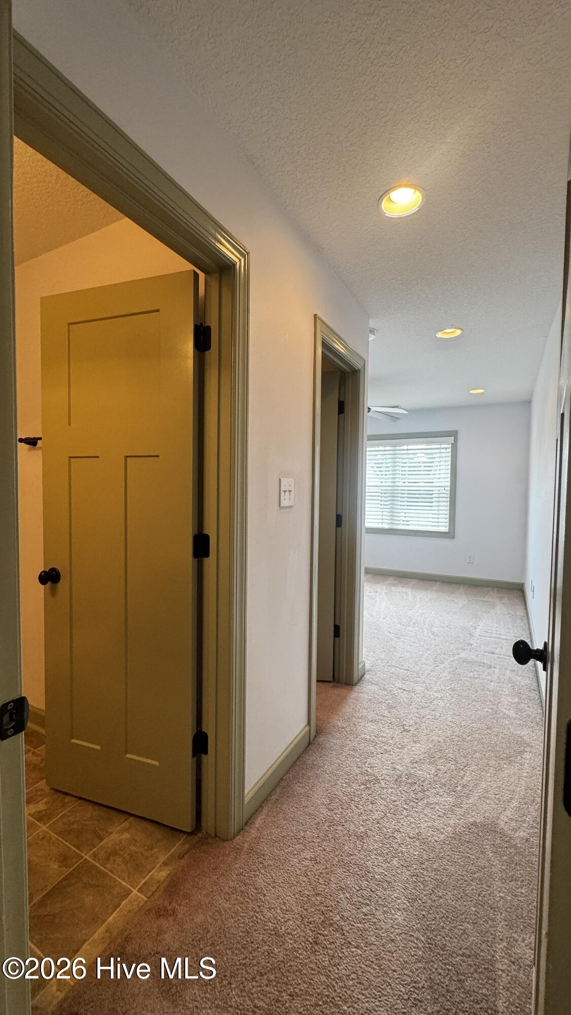 100569883 | Photo 10