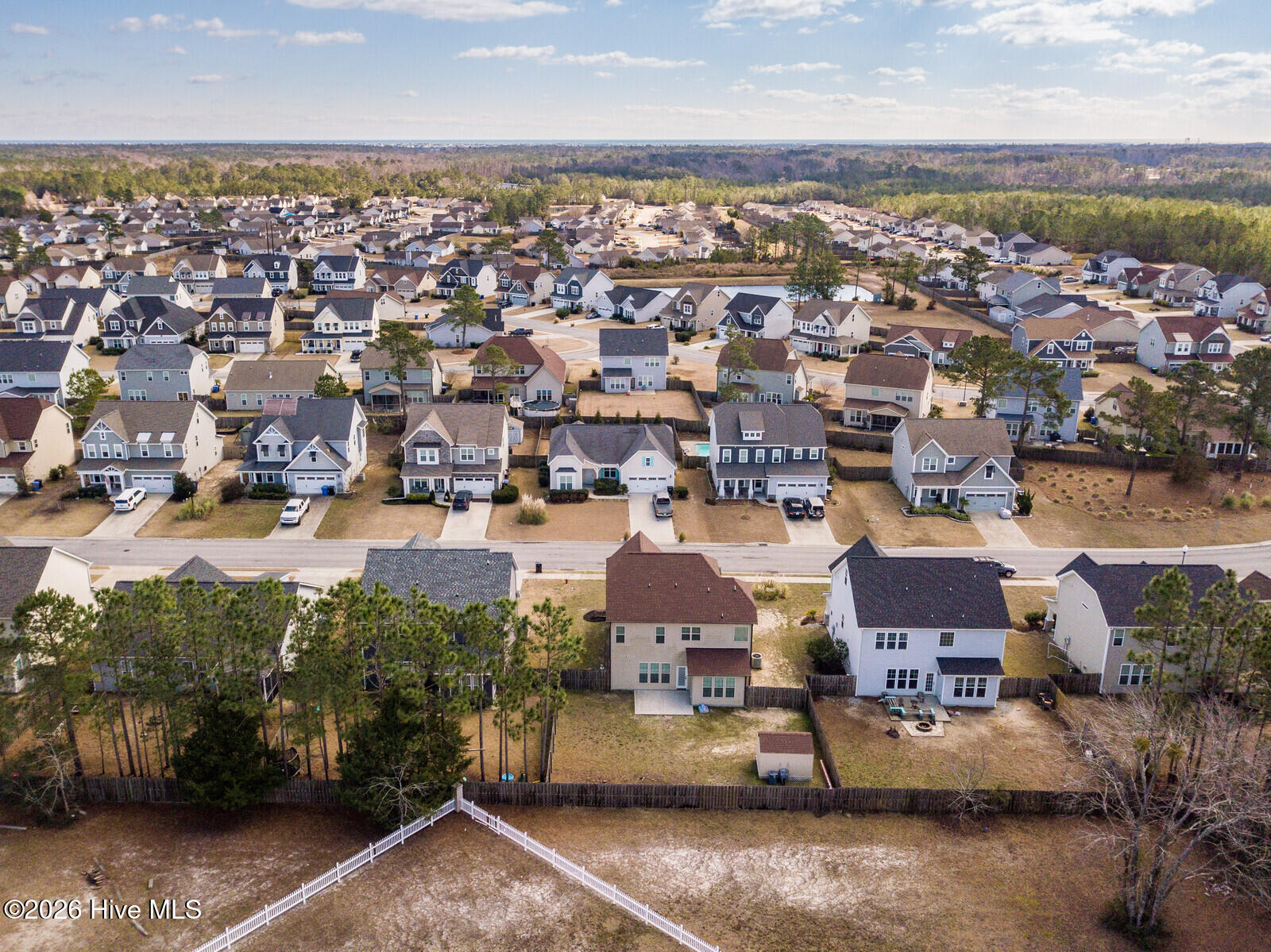 100558633 | Photo 46