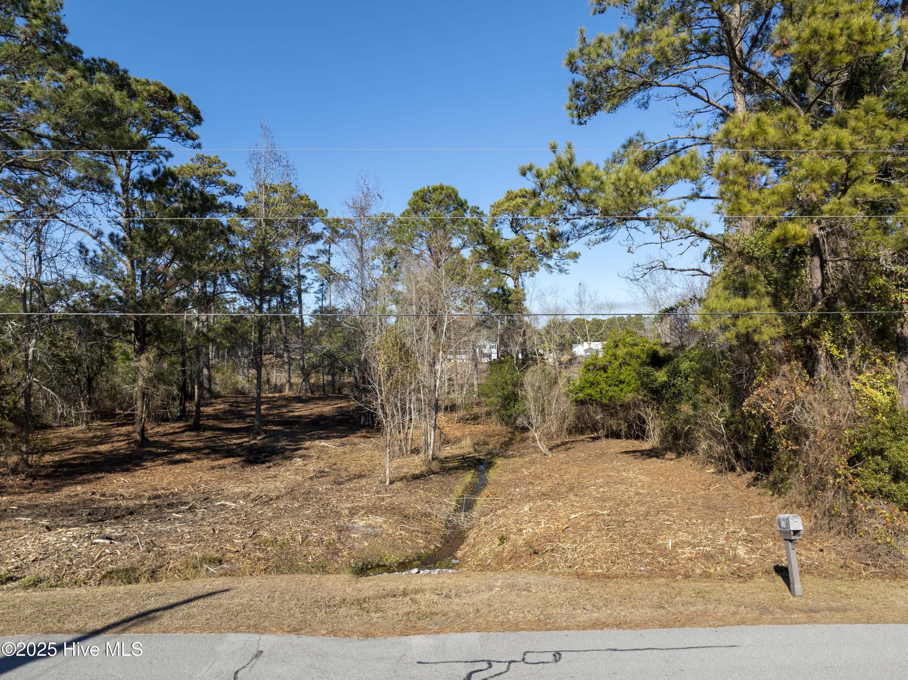 100559086 | Photo 35