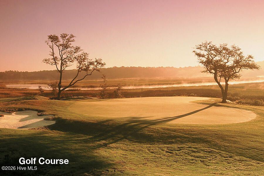 100570366 | Photo 23