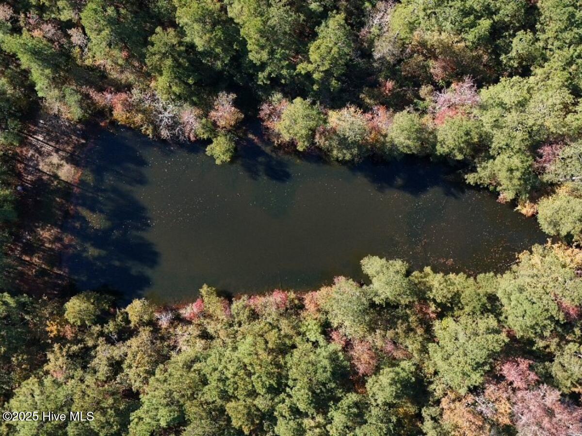 100540348 | Photo 15