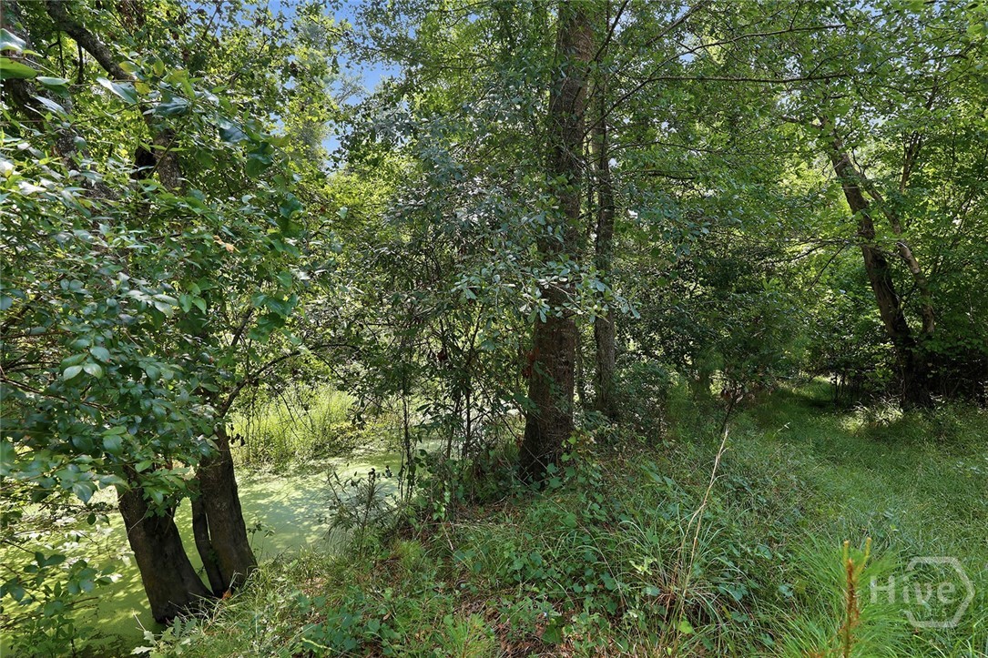 52nd image of 225 Frank Edwards Rd, Ellabell, GA 31308 | MLS# SA361811