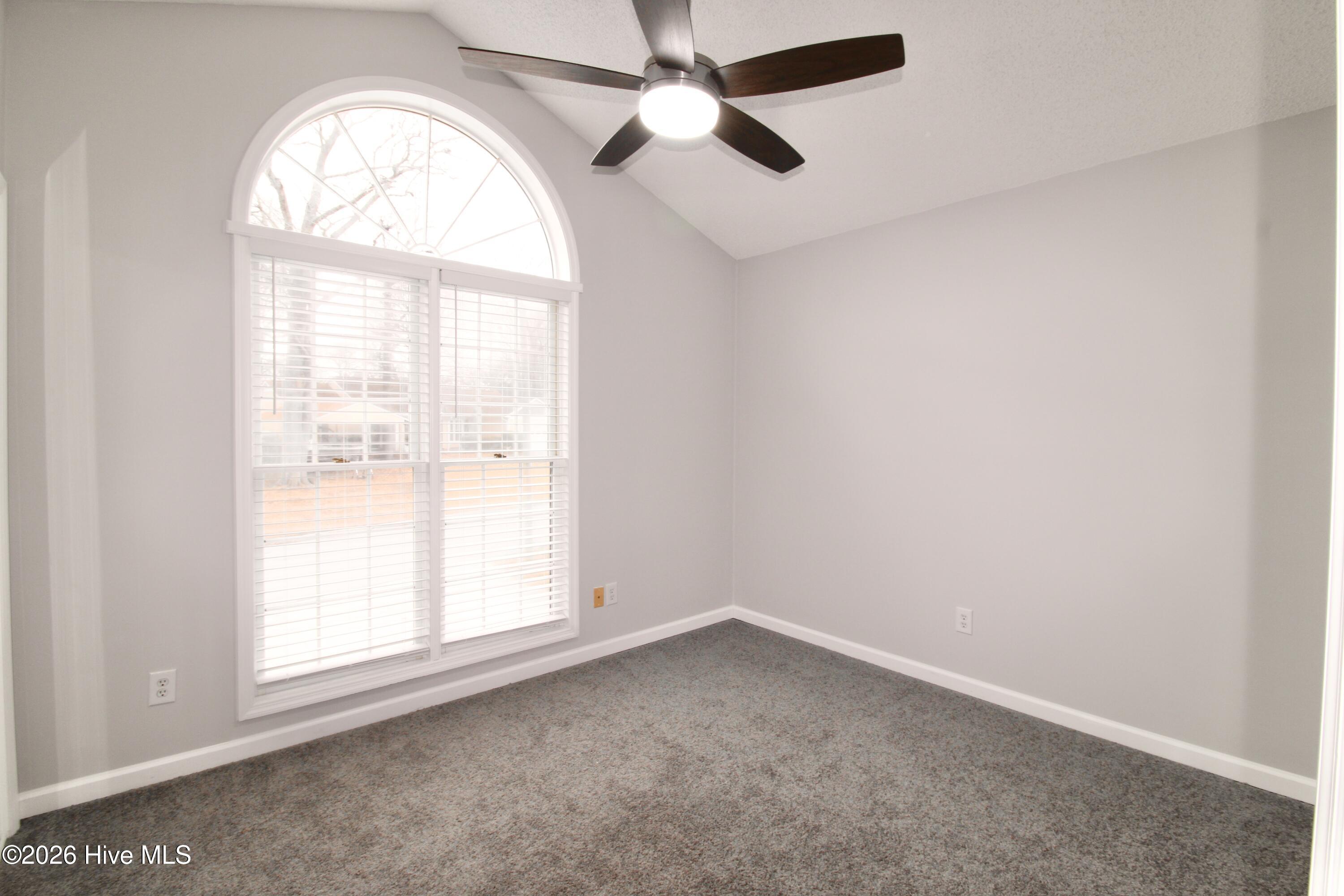 100555902 | Photo 11