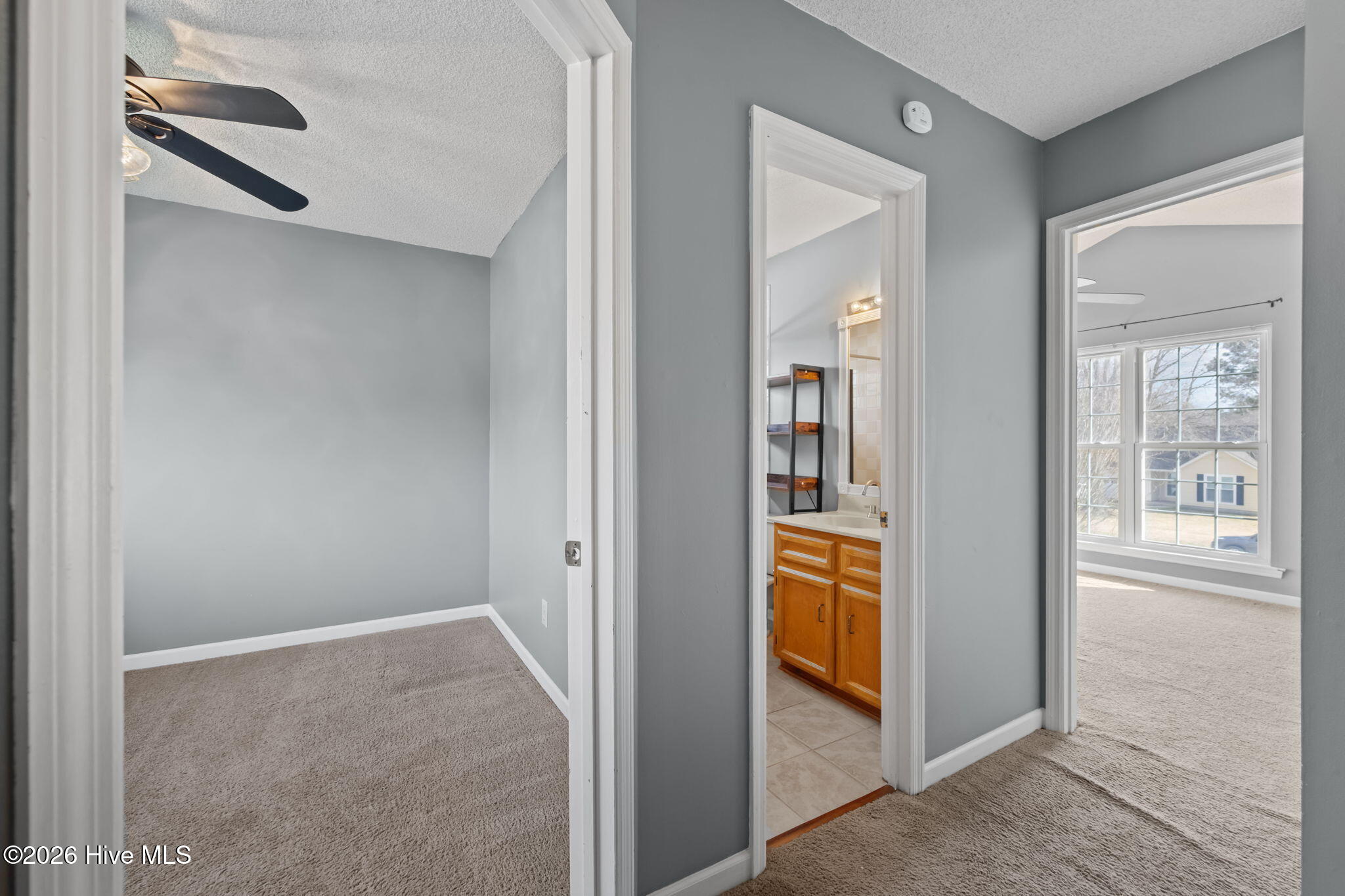 100558398 | Photo 17