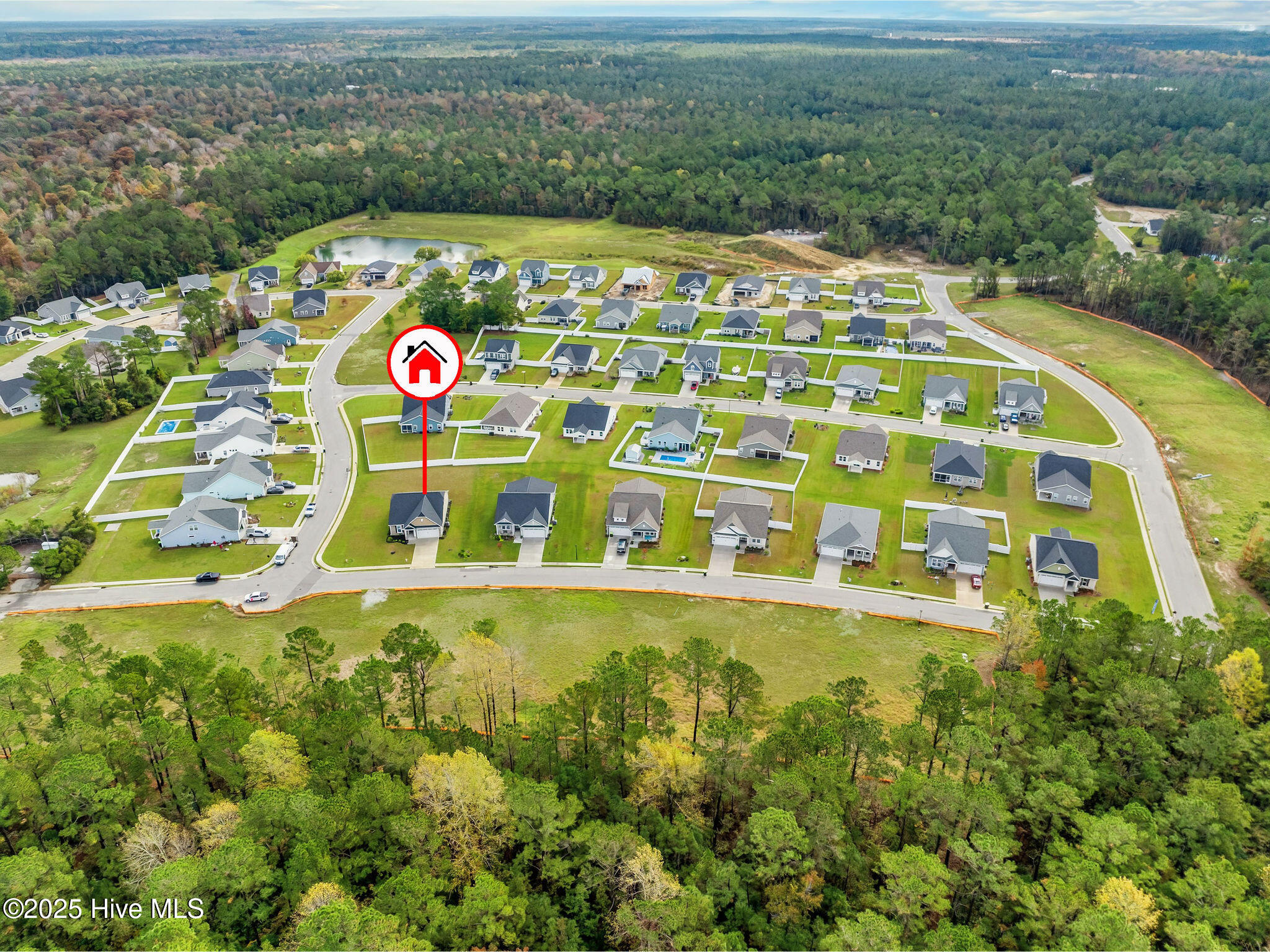 100542569 | Photo 44