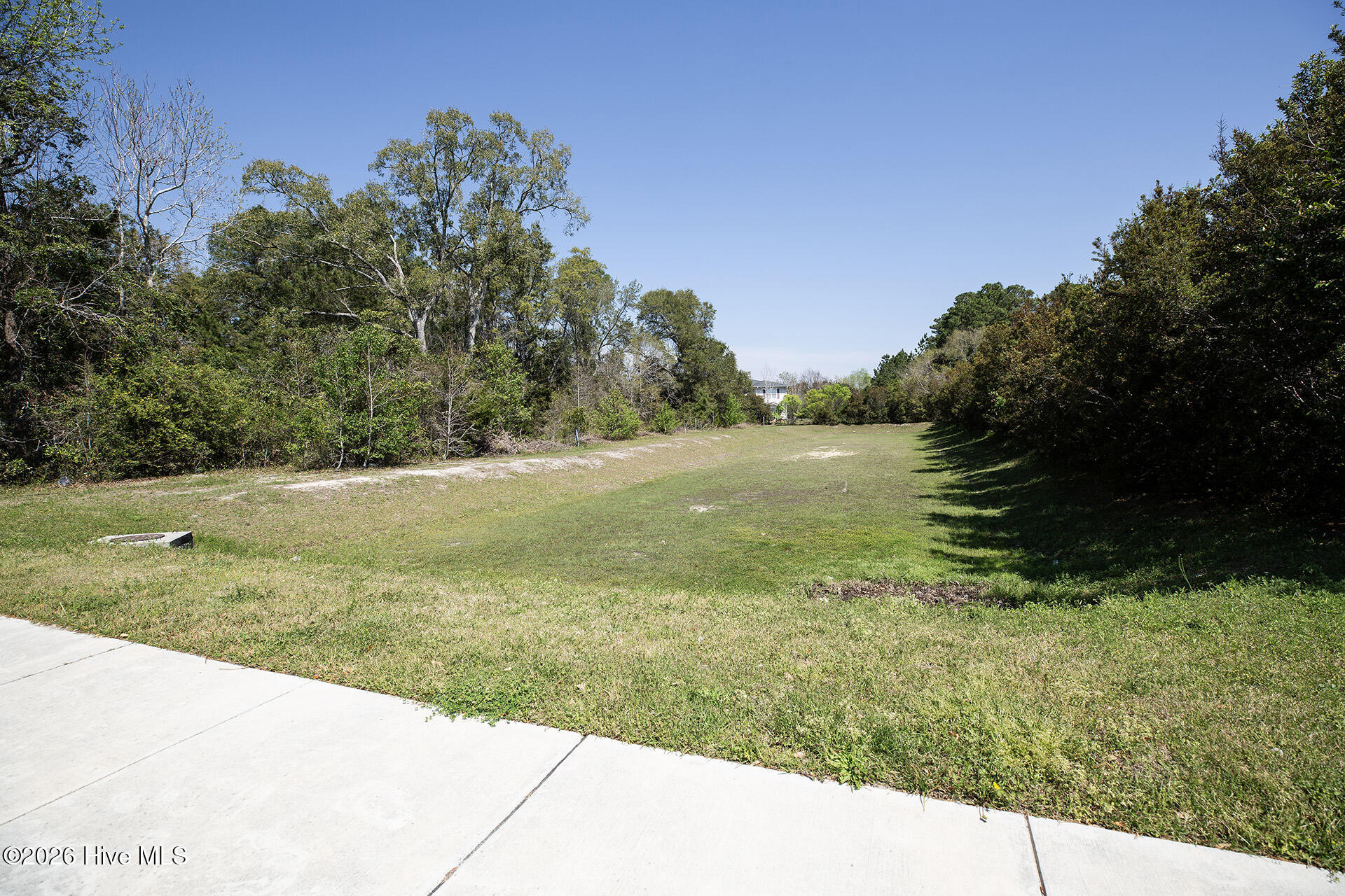 100562810 | Photo 39