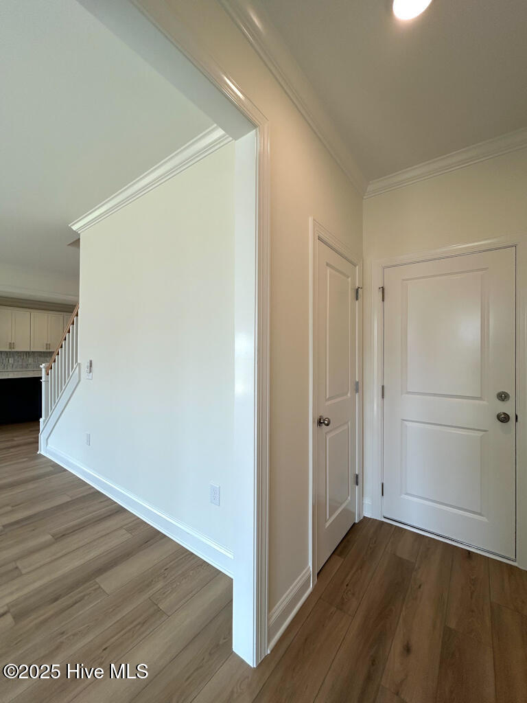 100479294 | Photo 44