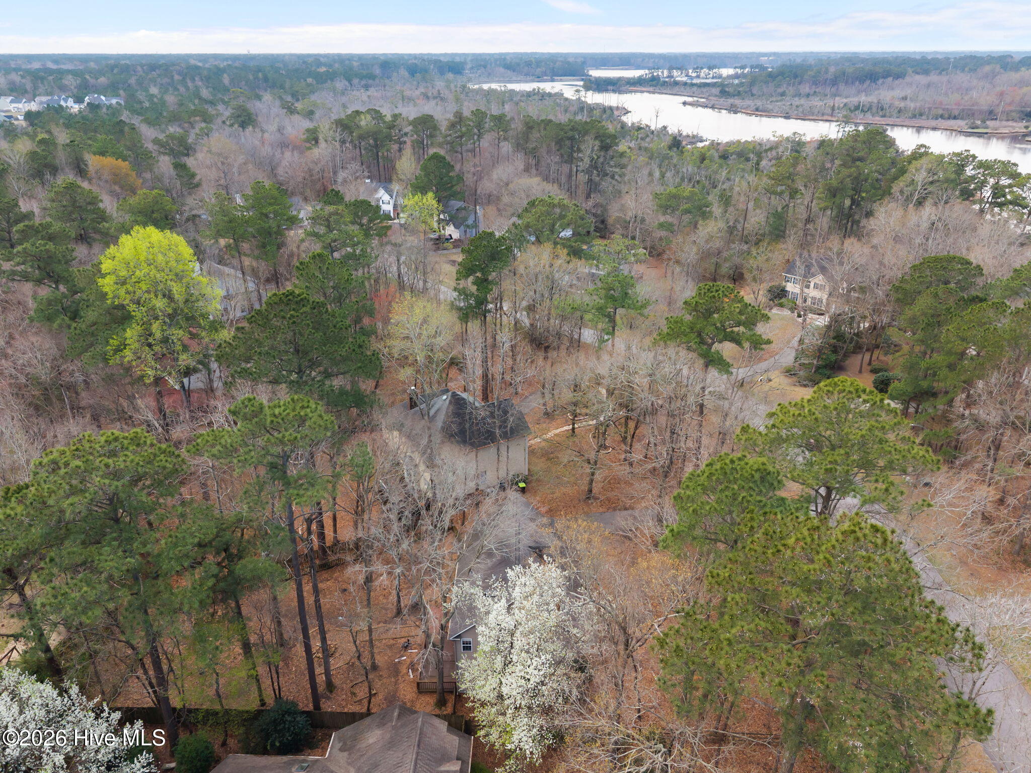 100557636 | Photo 41