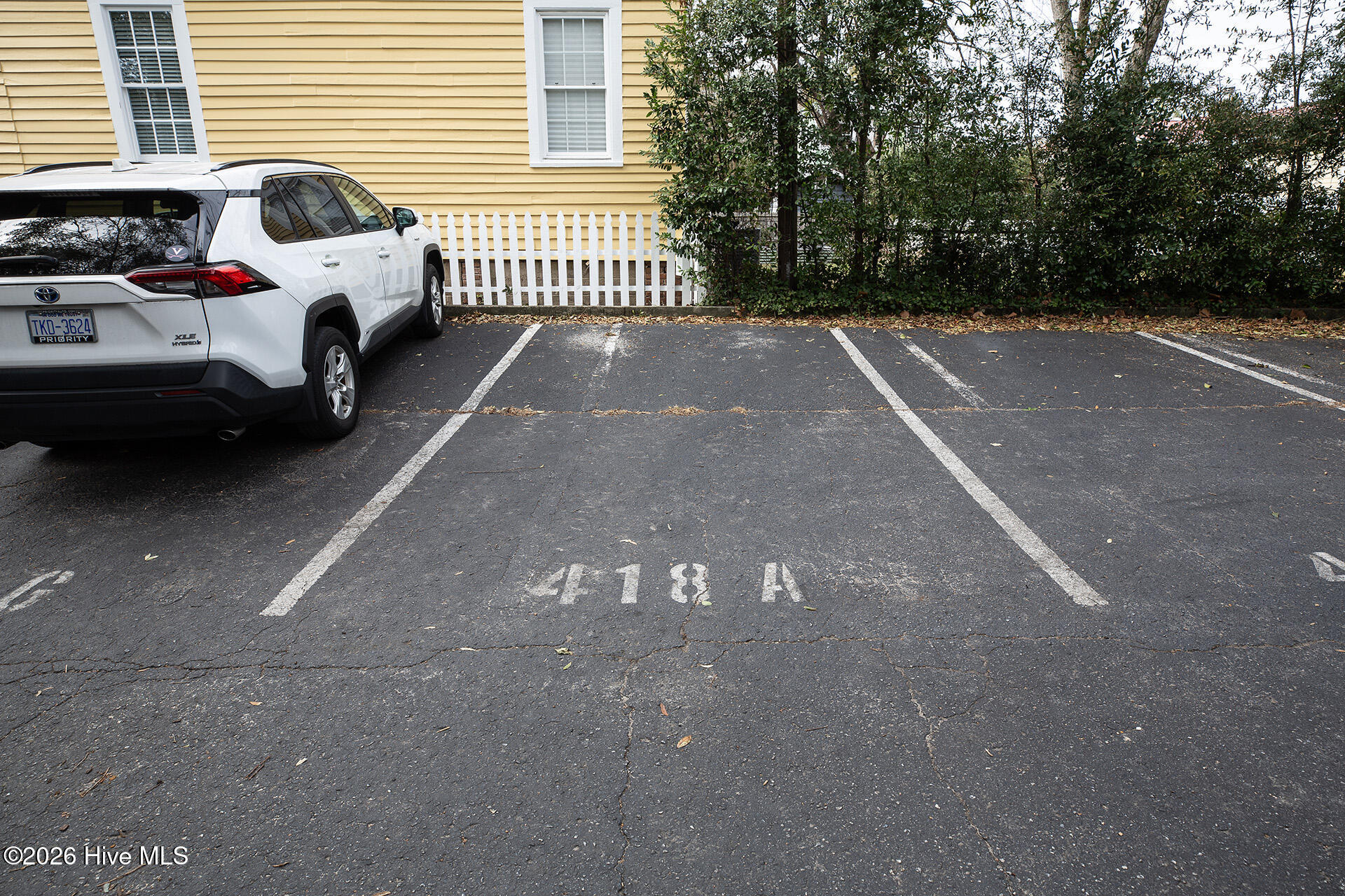 100555929 | Photo 31